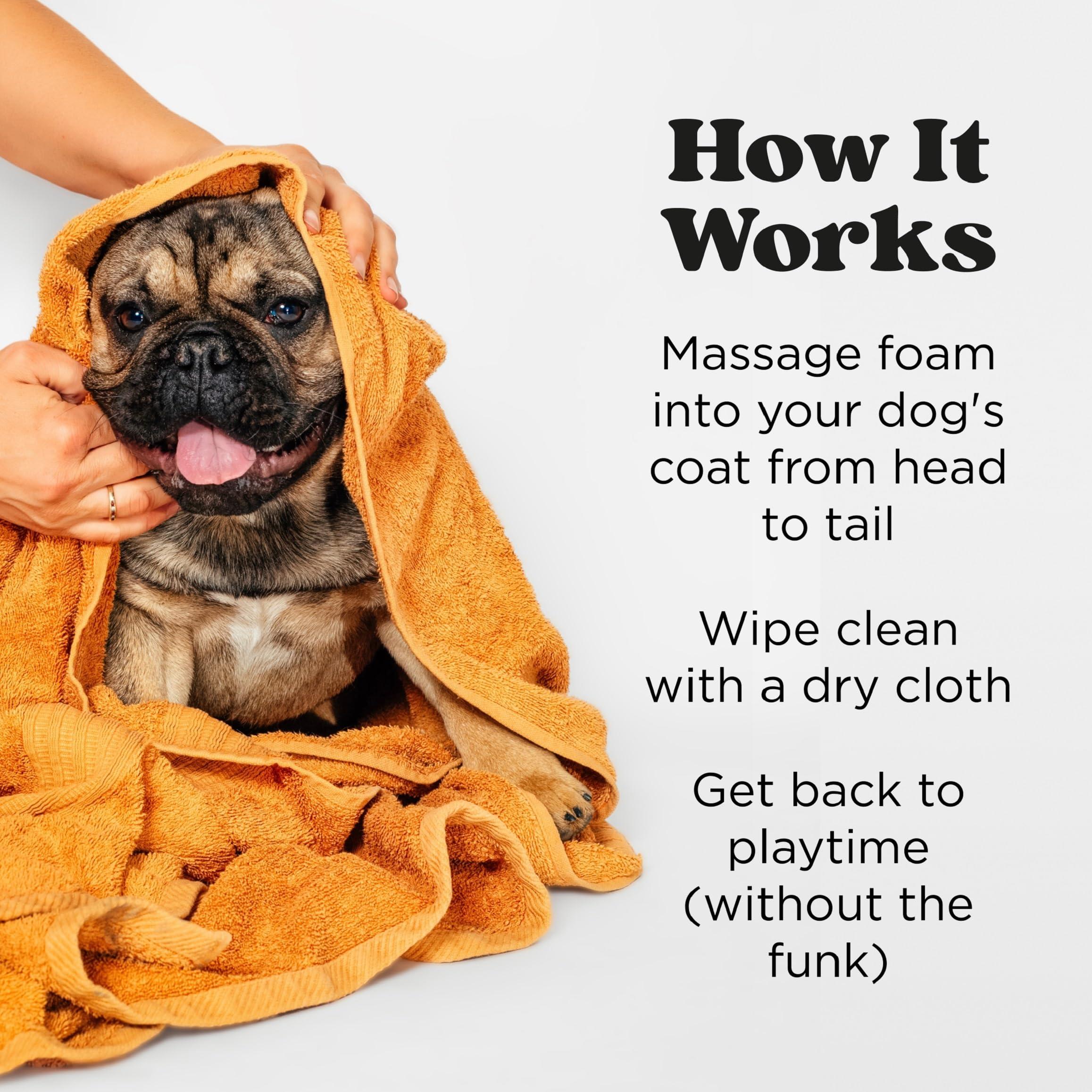 Poo-Pourri Rinse-Free Deodorizing Dry Shampoo for Dogs & Cats – Moisturizing Skin & Coat Soothing Formula - Plant Based Ingredients – Pineapple, Jasmine & Pear – No Rinse Foam Shampoo for Pet Odor - Image 5