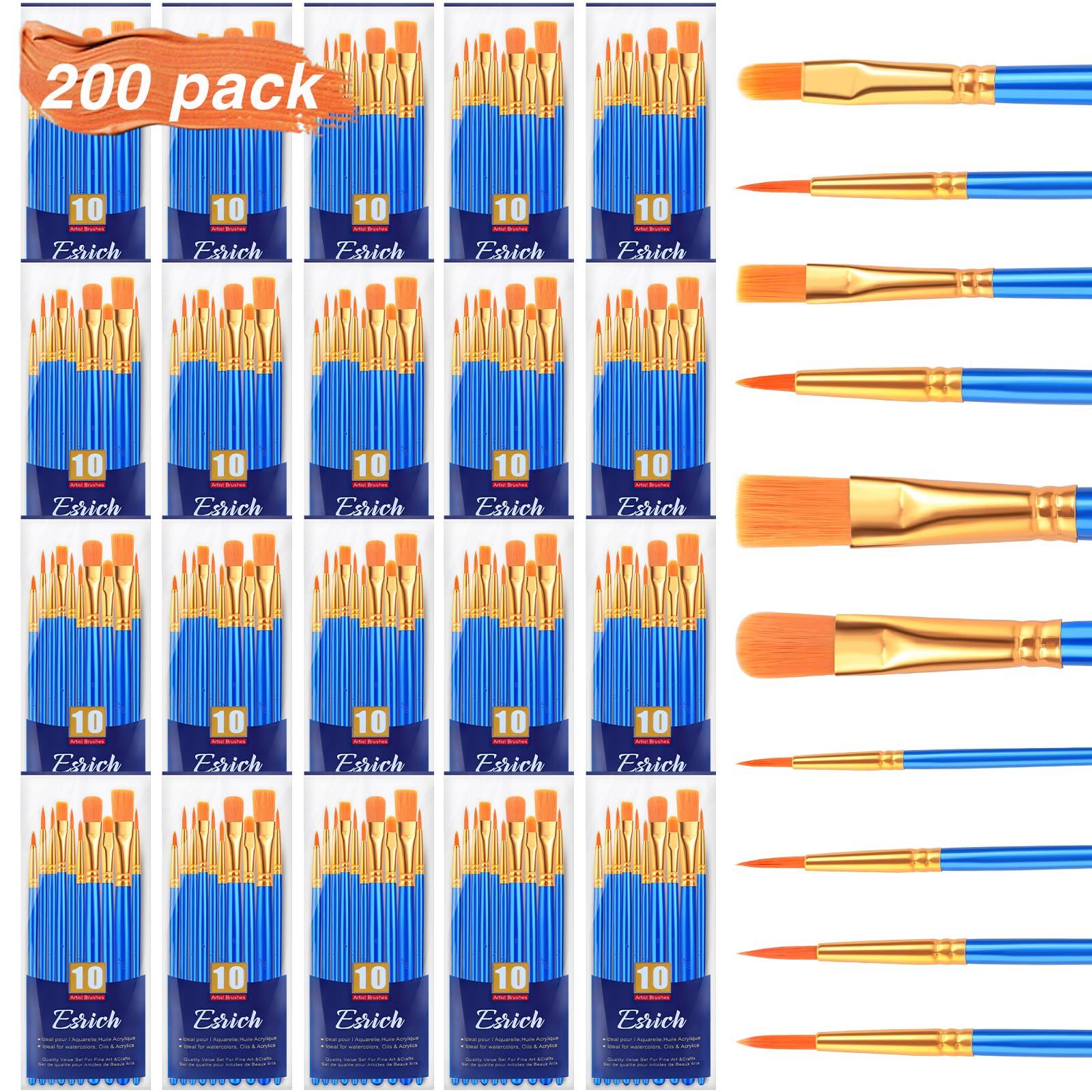 ESRICH Acrylic Paint Brushes Set, 20 Packs / 200 Pcs Nylon Hair Paint Brushes,Paint Brush Set Suitable for Oil,Watercolor,Rock Body Face Art, Kids Adult Perfect Art Painting Craft Paint Brush Kits.