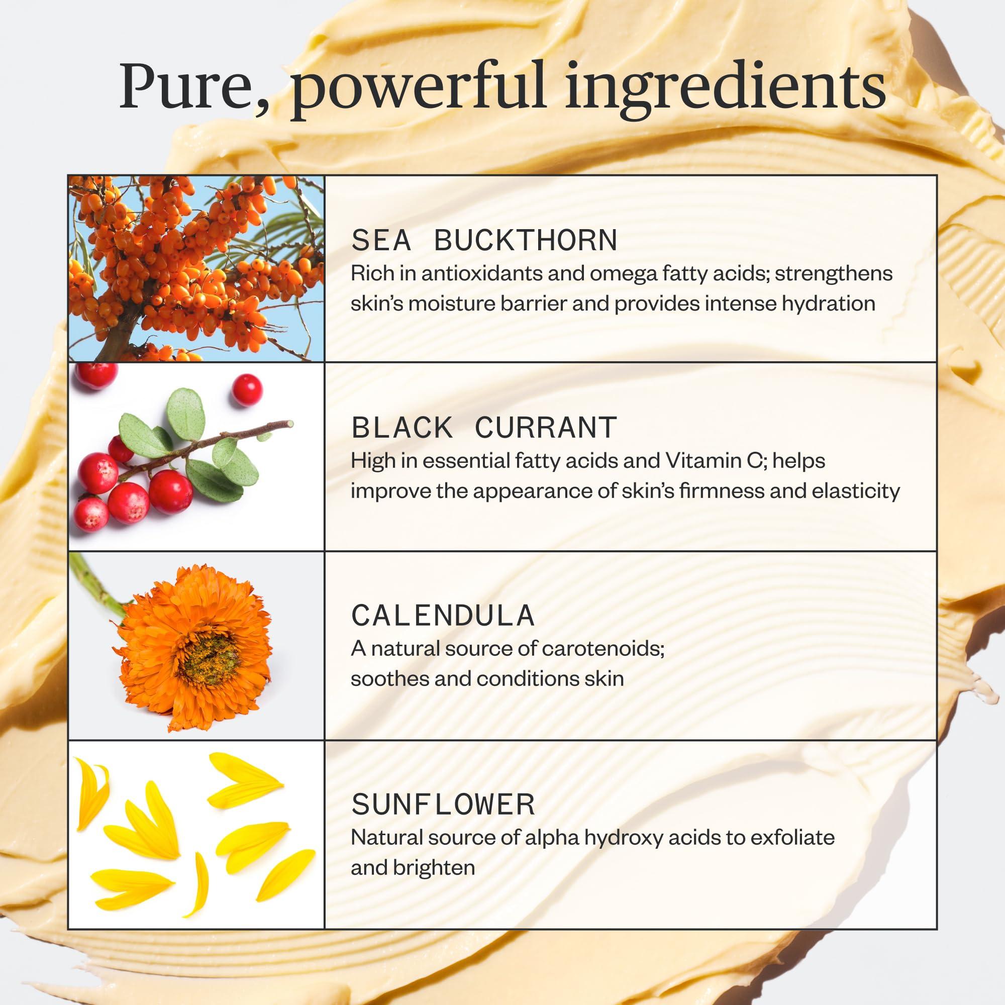 Ursa Major Golden Hour Face Moisturizer | Vegan Recovery Cream for Daily Facial Moisturizing | Repair & Hydrate | Natural Formula for All Skin Types | Cruelty Free & Non-Toxic 1.57 oz - Image 3