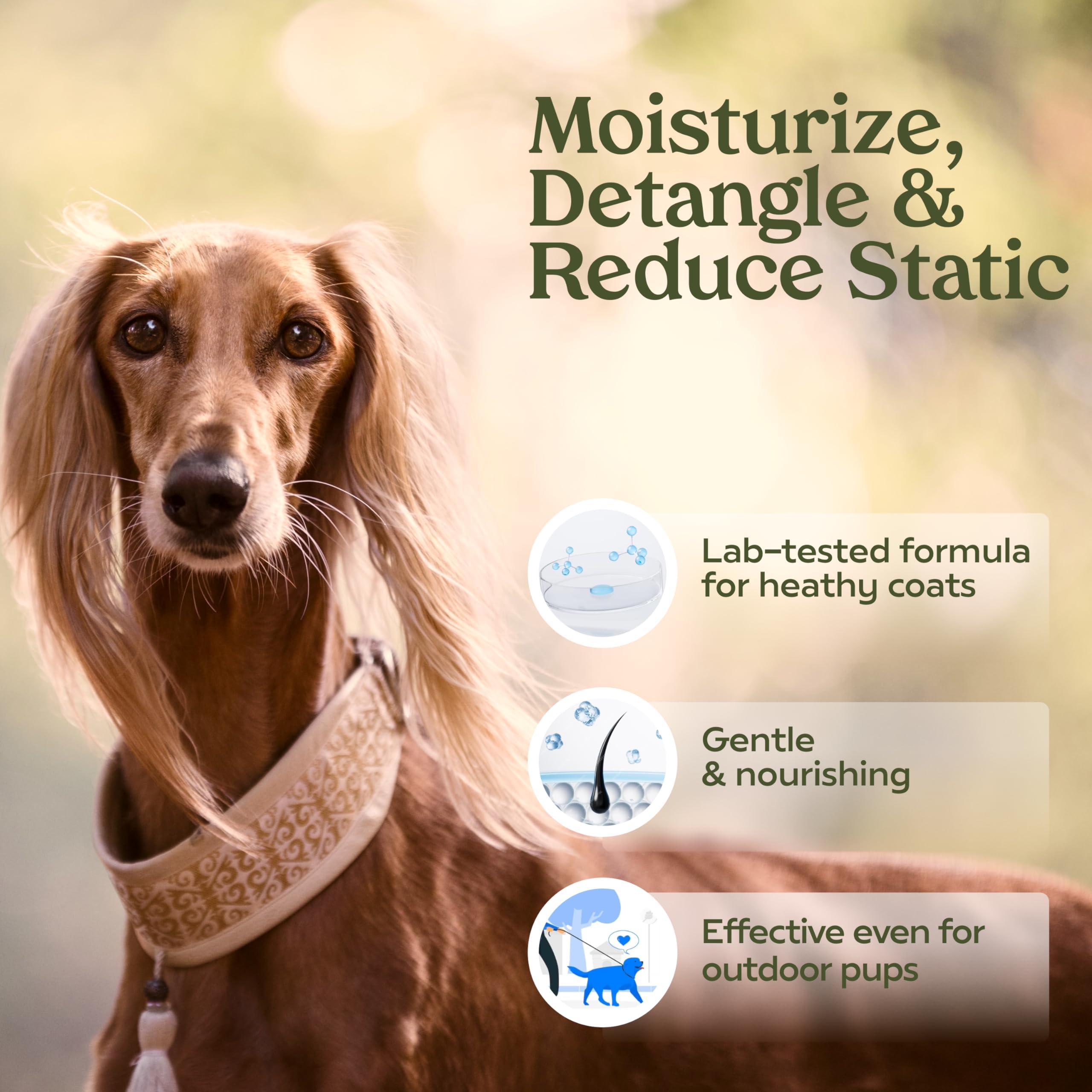 PAWFUME Dog Perfume Spray Long Lasting Scent for Grooming, Show Dog, 1-Pack – Keep Your Pup Fresh All Day – Hypoallergenic, Alcohol-Free, Detangling & Moisturizing – Salon-Quality Dog Cologne Spray - Image 2