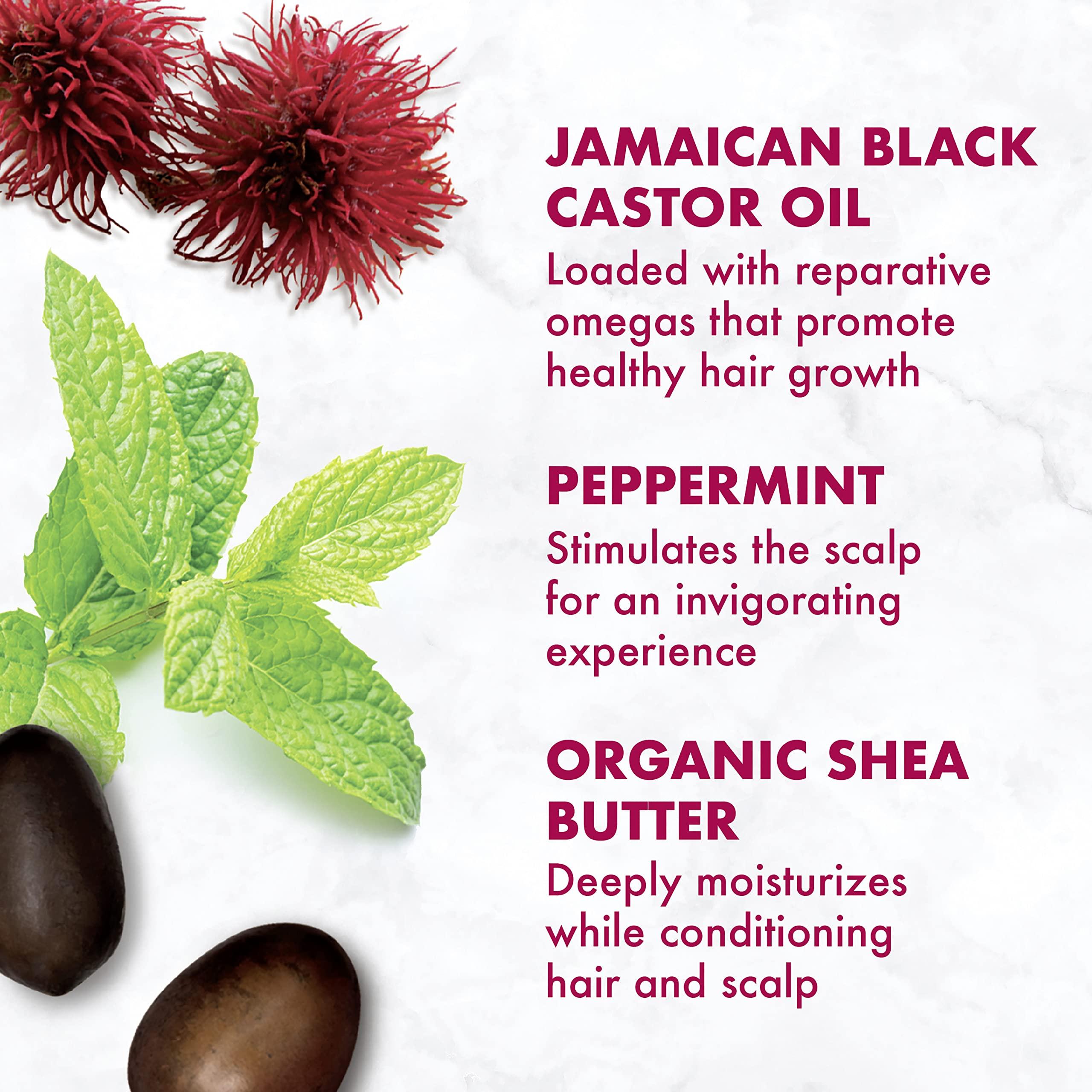 SheaMoisture Conditioner 100% Pure Jamaican Black Castor Oil to Intensely Smooth and Nourish Hair with Shea Butter, Peppermint and Apple Cider Vinegar 13 oz - Image 11
