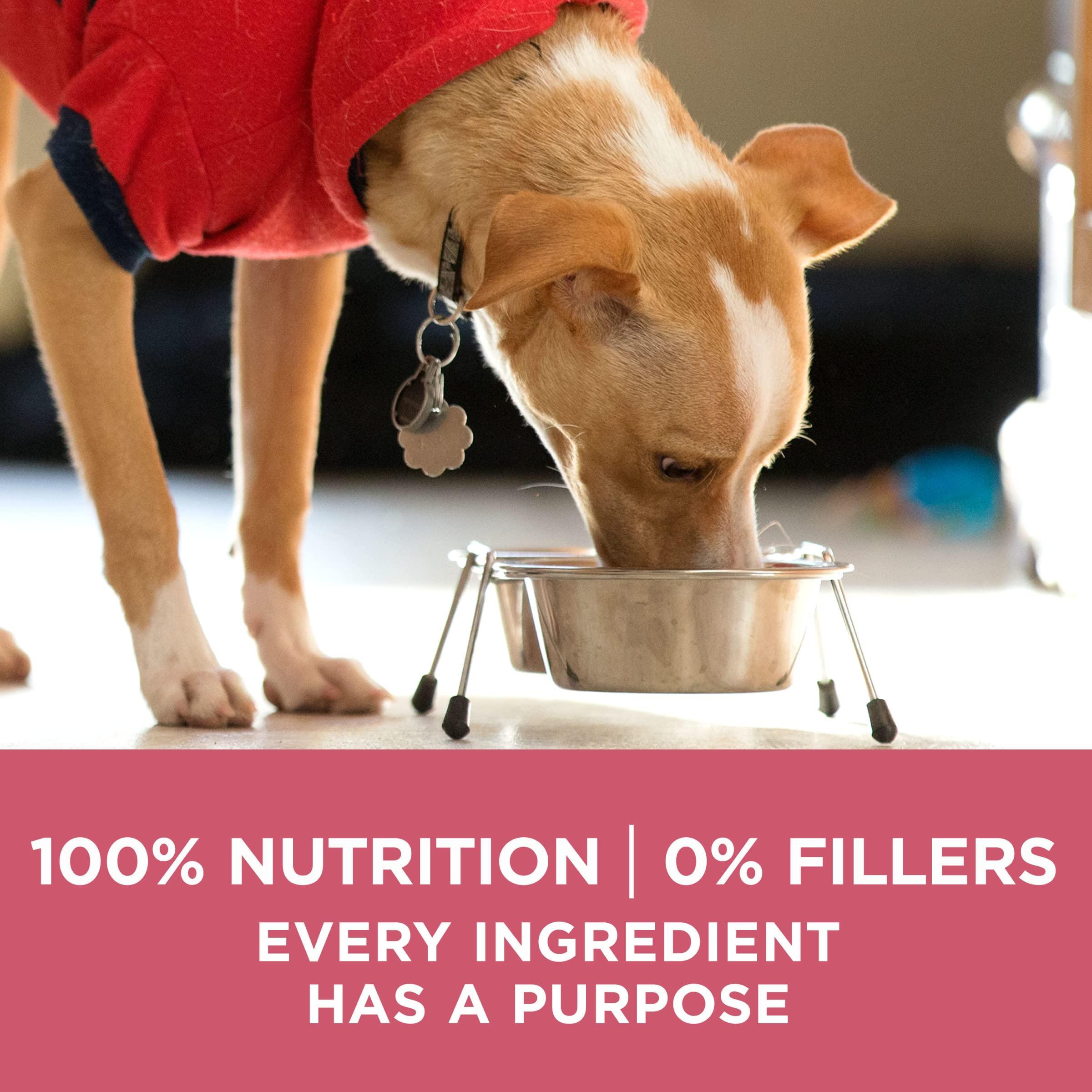 Purina ONE Natural, Sensitive Stomach Dry Dog Food, +Plus Skin & Coat Formula - 31.1 lb. Bag - Image 8