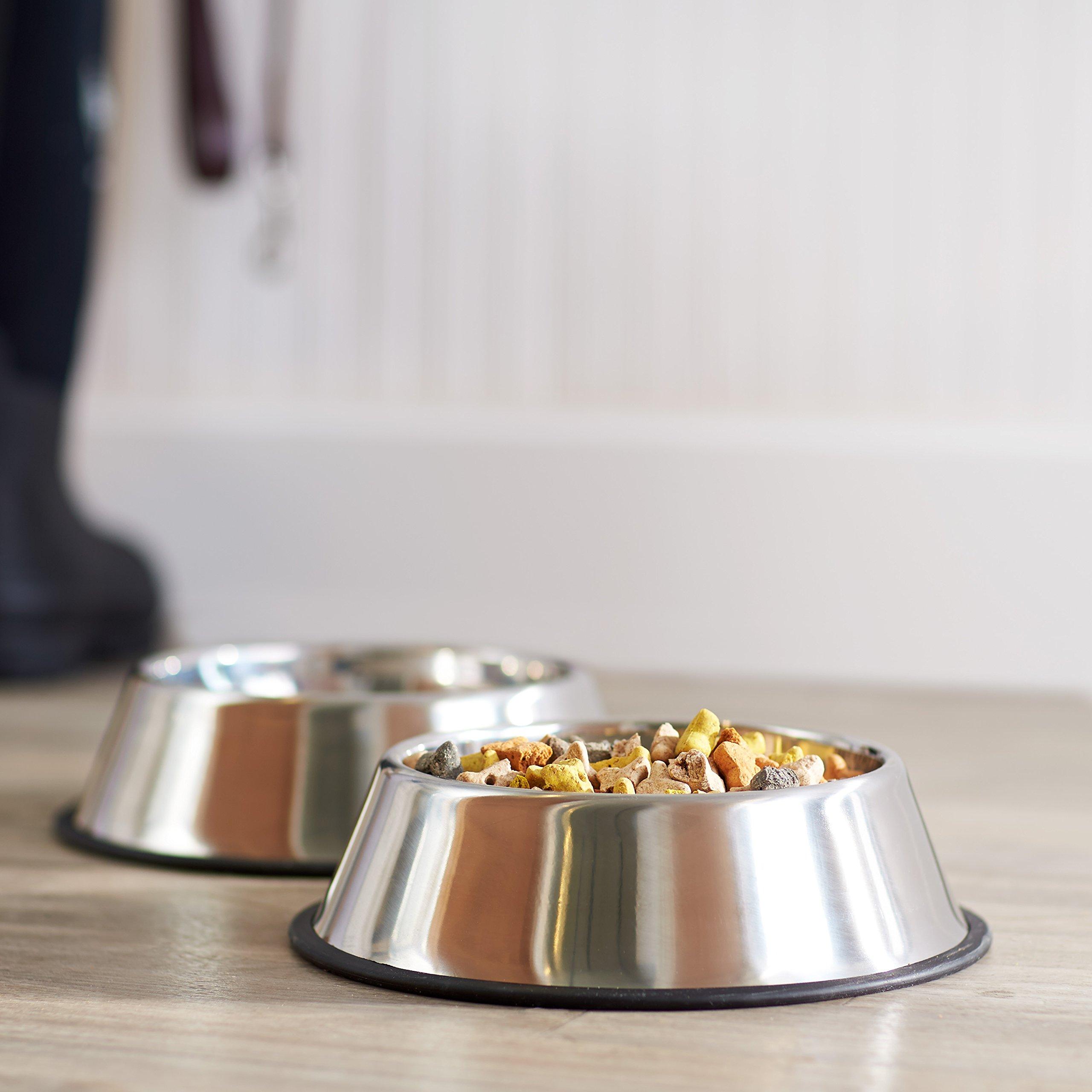 Amazon Basics Stainless Steel Non-Skid Pet Dog Water And Food Bowl, 2-Pack (10 x 2.8 Inches), Each Holds Up to 4 Cups - Image 7