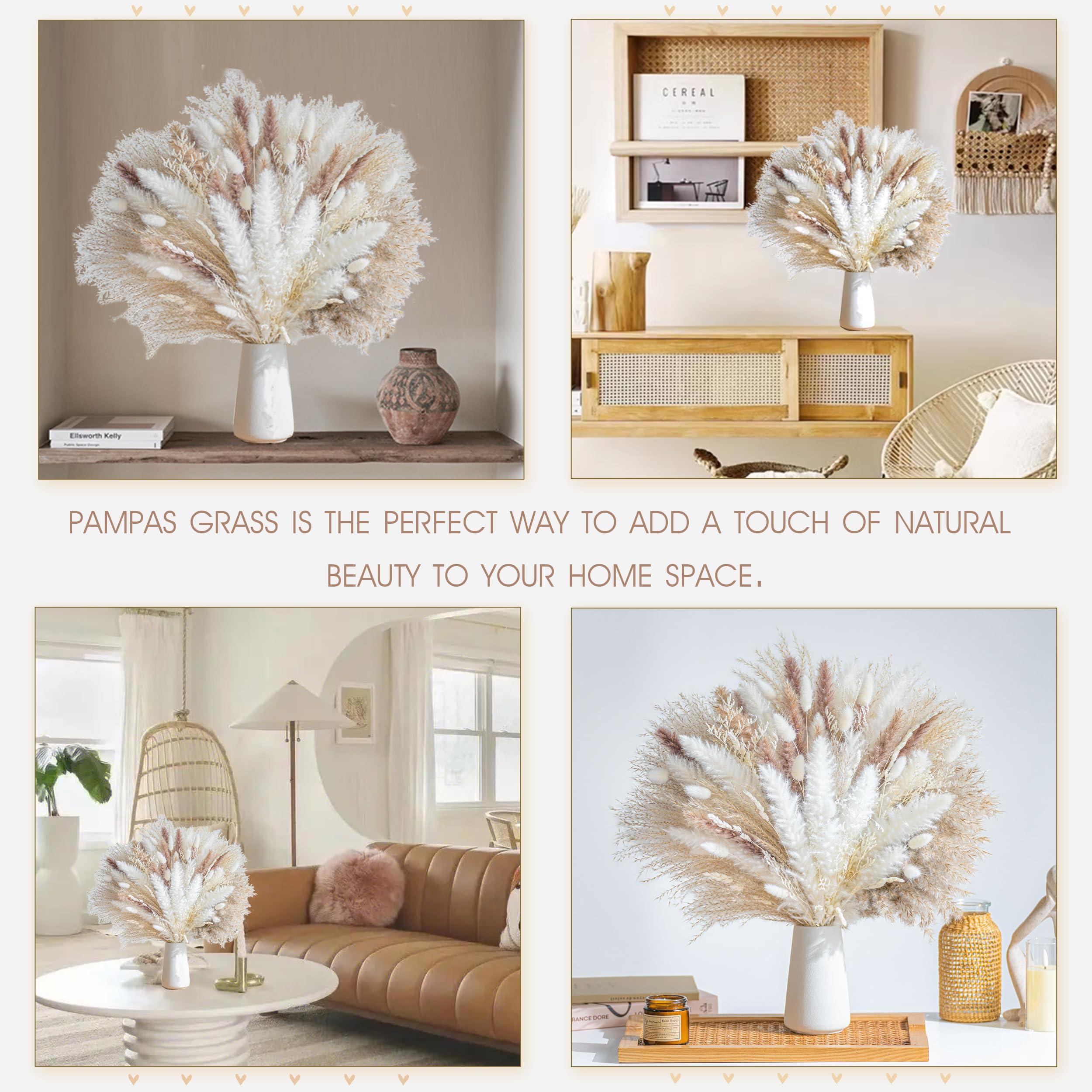 96PCS Natural Dried Pampas Grass Boho Home Decor Bouquet Phragmites Dried Flowers Bouquet for Wedding Floral Arrangements Home Decorations (96PCS) - Image 3