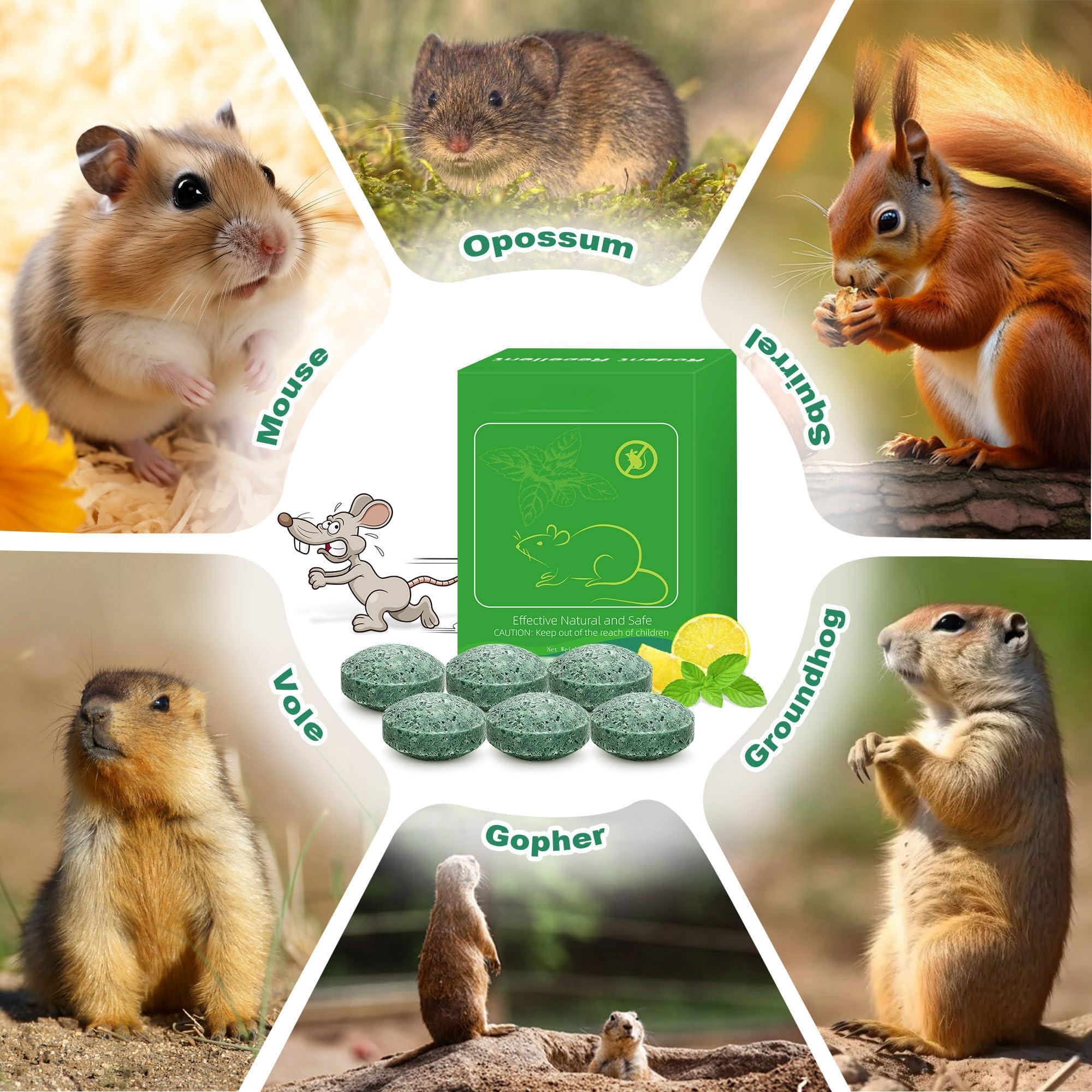 24Pcs Rodent Mice Repellent, Peppermint Oil Mouse Repellent Balls for Rats Mouse Deterrent, Keep Rat Mice Mouse Rodent Out of Indoor House Outdoor Car Engines RV Garage, Safe for Humans & Pets - Image 3