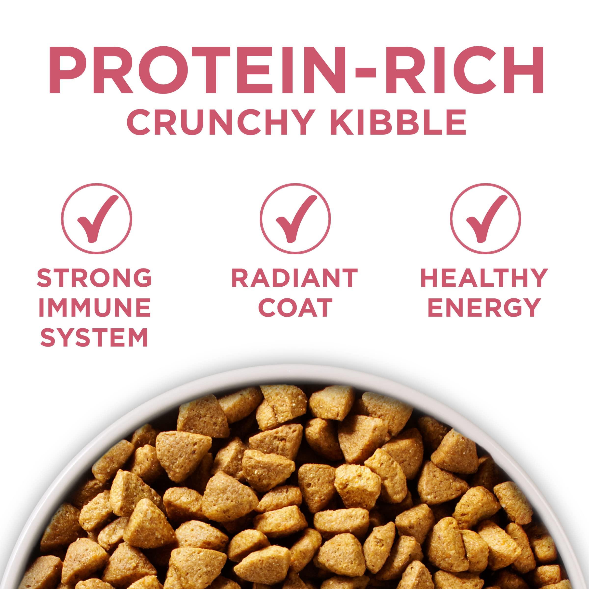 Purina ONE Natural, Sensitive Stomach Dry Dog Food, +Plus Skin & Coat Formula - 31.1 lb. Bag - Image 2