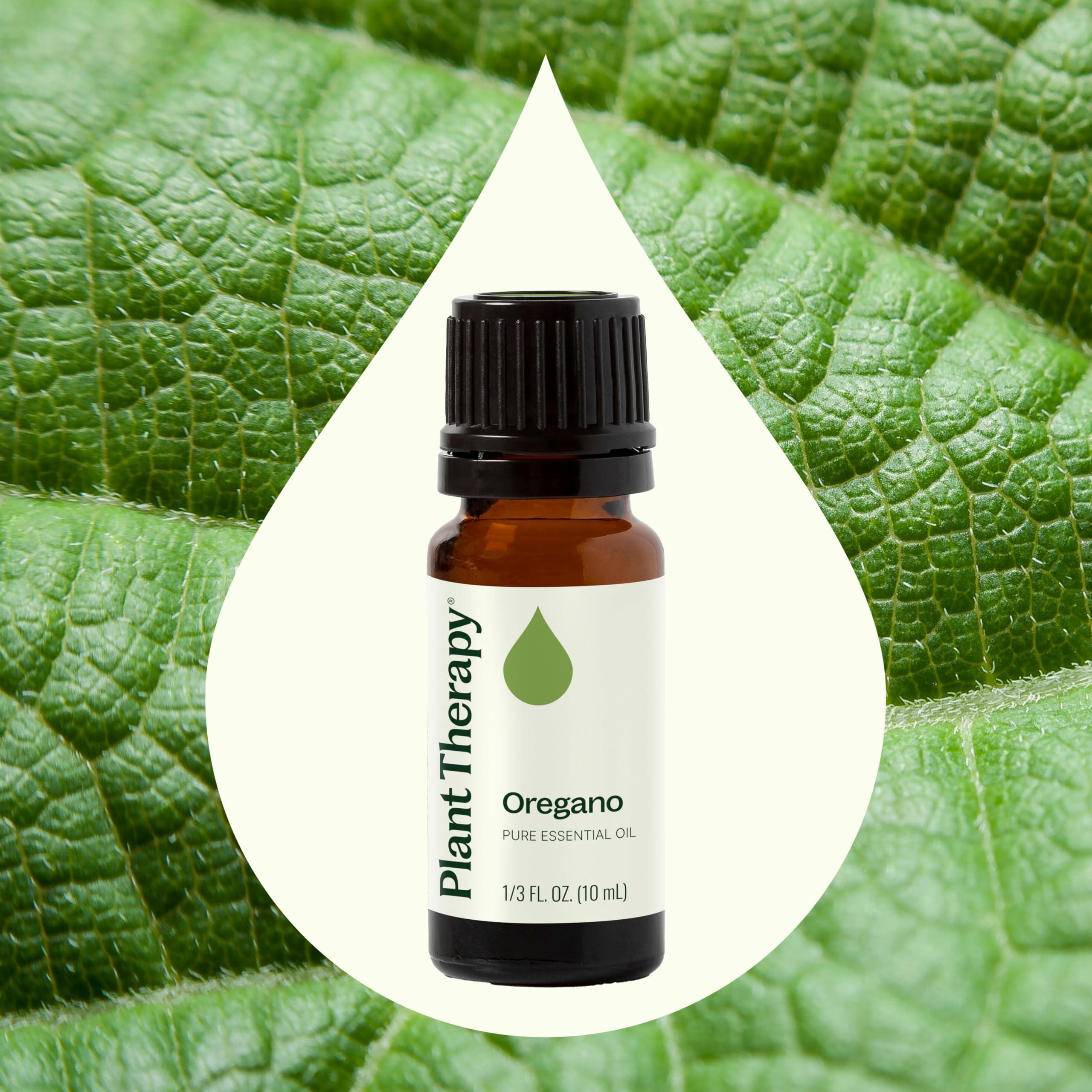 Plant Therapy Oregano Essential Oil 100% Pure, Undiluted, Natural Aromatherapy, Therapeutic Grade 10 mL (1/3 oz) - Image 3