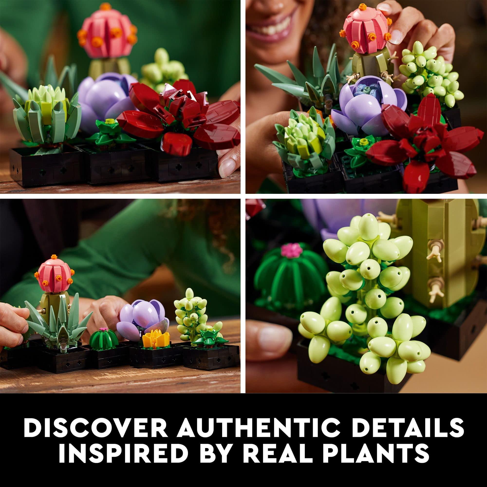 LEGO Botanicals Succulents - Artificial Indoor Plant Building Set for Home, Kitchen, Desk Decor Adults Ages 18+ - Gift for Graduation - 10309 - Image 5