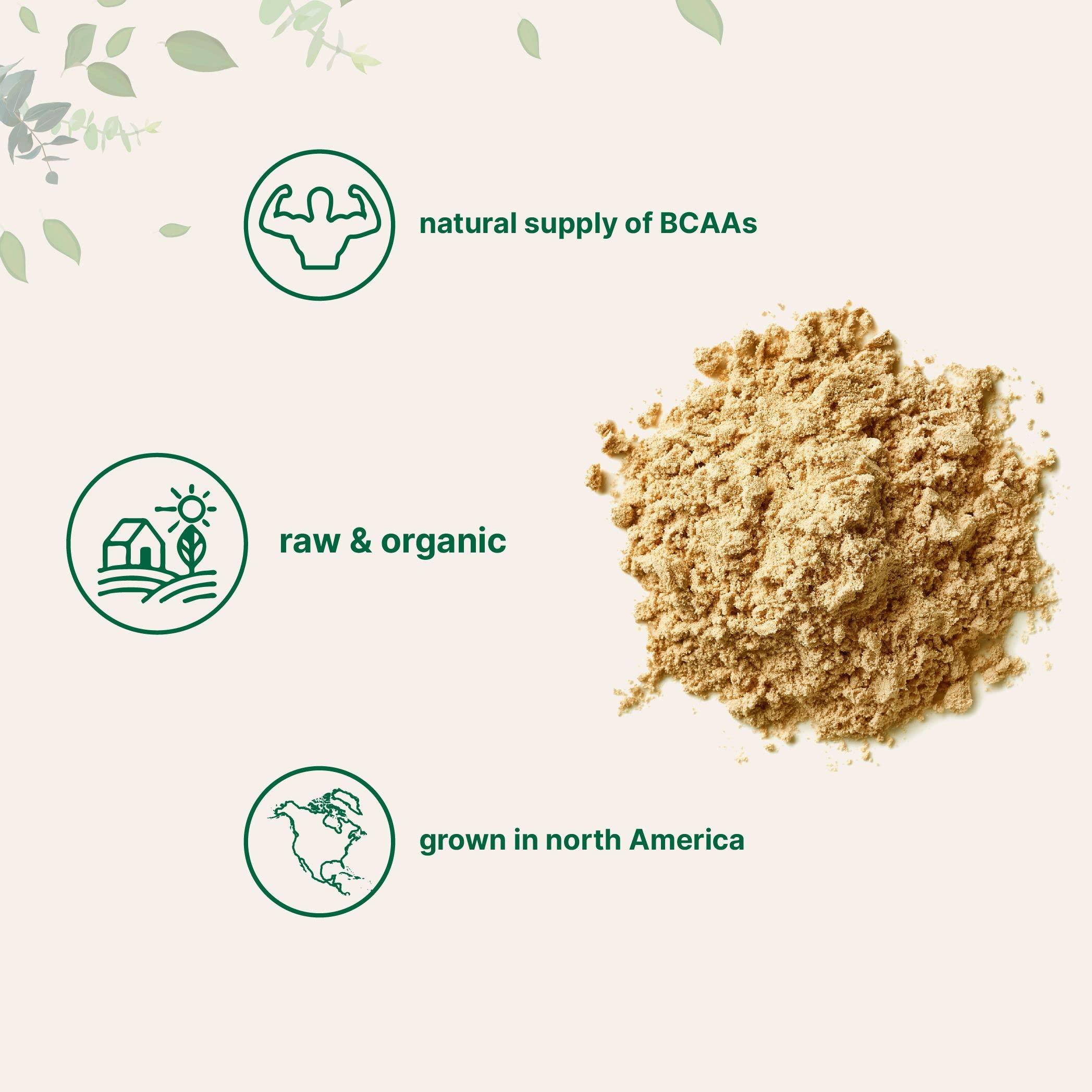 Micro Ingredients North America Grown, Organic Pea Protein Powder, 1KG (2.2 Pounds) | Plant-Based Vegan Protein, Meatless Protein Supplement, Rich in Branched Chain Amino Acids | Non-GMO, Soy Free - Image 4