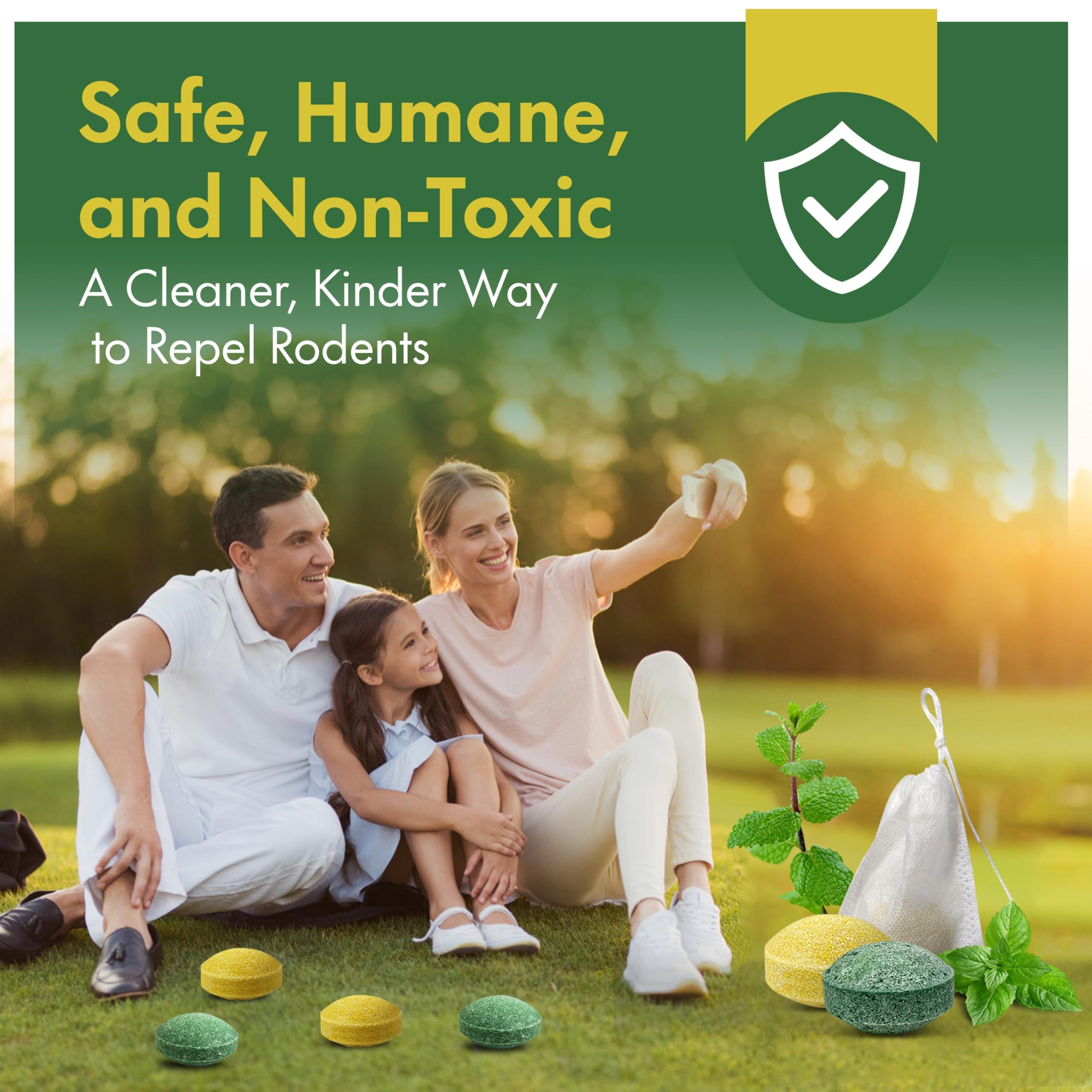 Mouse Repellent Balls, Peppermint Oil Infused Mice & Rat Repellent for Indoor, Outdoor & Car Engines – Safe, Long-Lasting Protection Against Rodents, (40 Pack) - Image 5