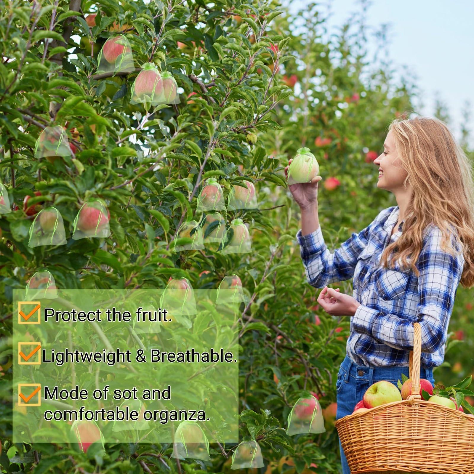 Tlence 150 PCS Fruit Protection Bags, 6 x 8 Inch Fruit Cover Mesh Bag, Garden Netting Bags with Drawstring, Reusable Barrier Bags for Plant Flower Mango, Protect Plants from Birds Squirrels, Green - Image 7