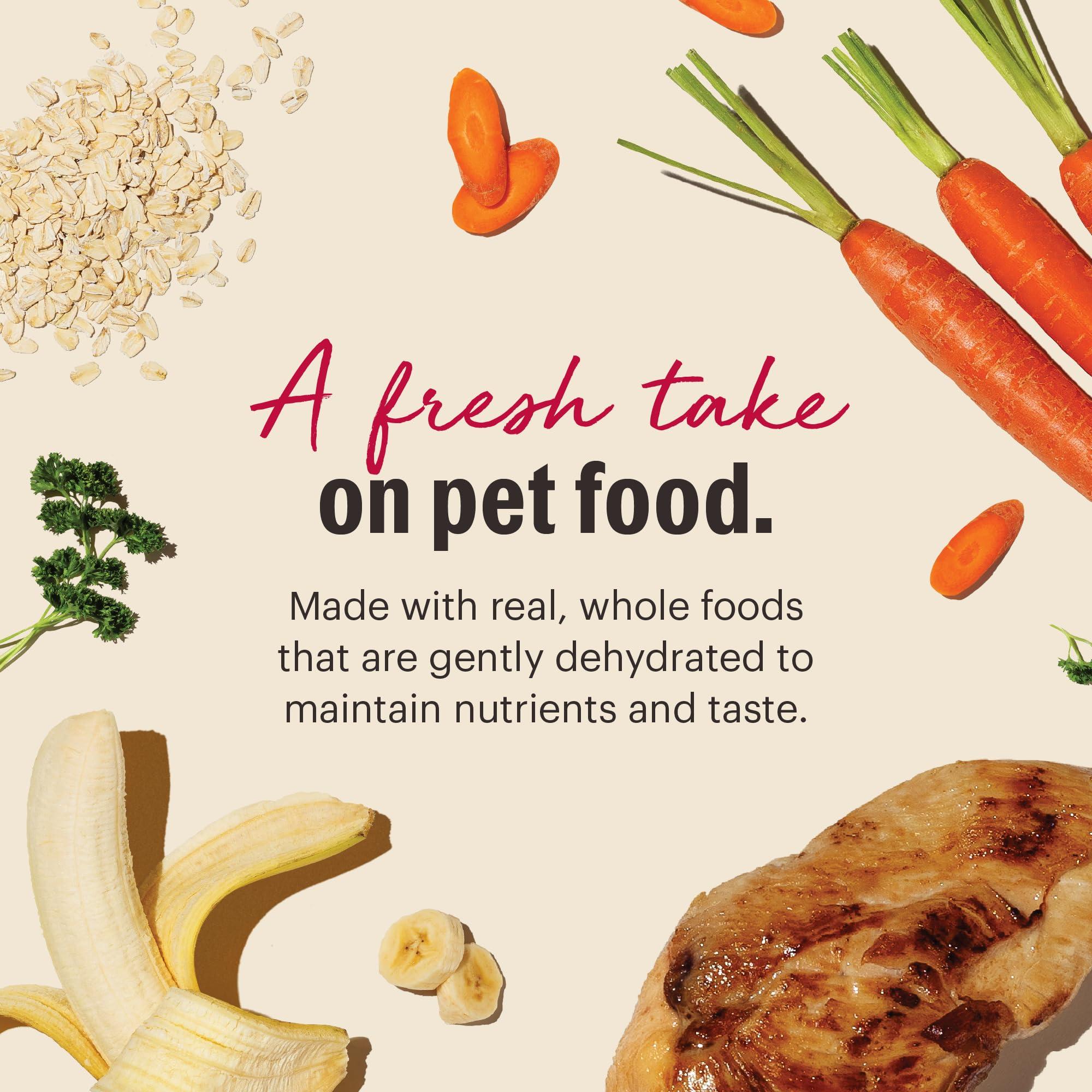 The Honest Kitchen Human Grade Dehydrated Whole Grain Dog Food – Complete Meal or Topper – Chicken 10 lb (makes 40 lbs) - Image 4