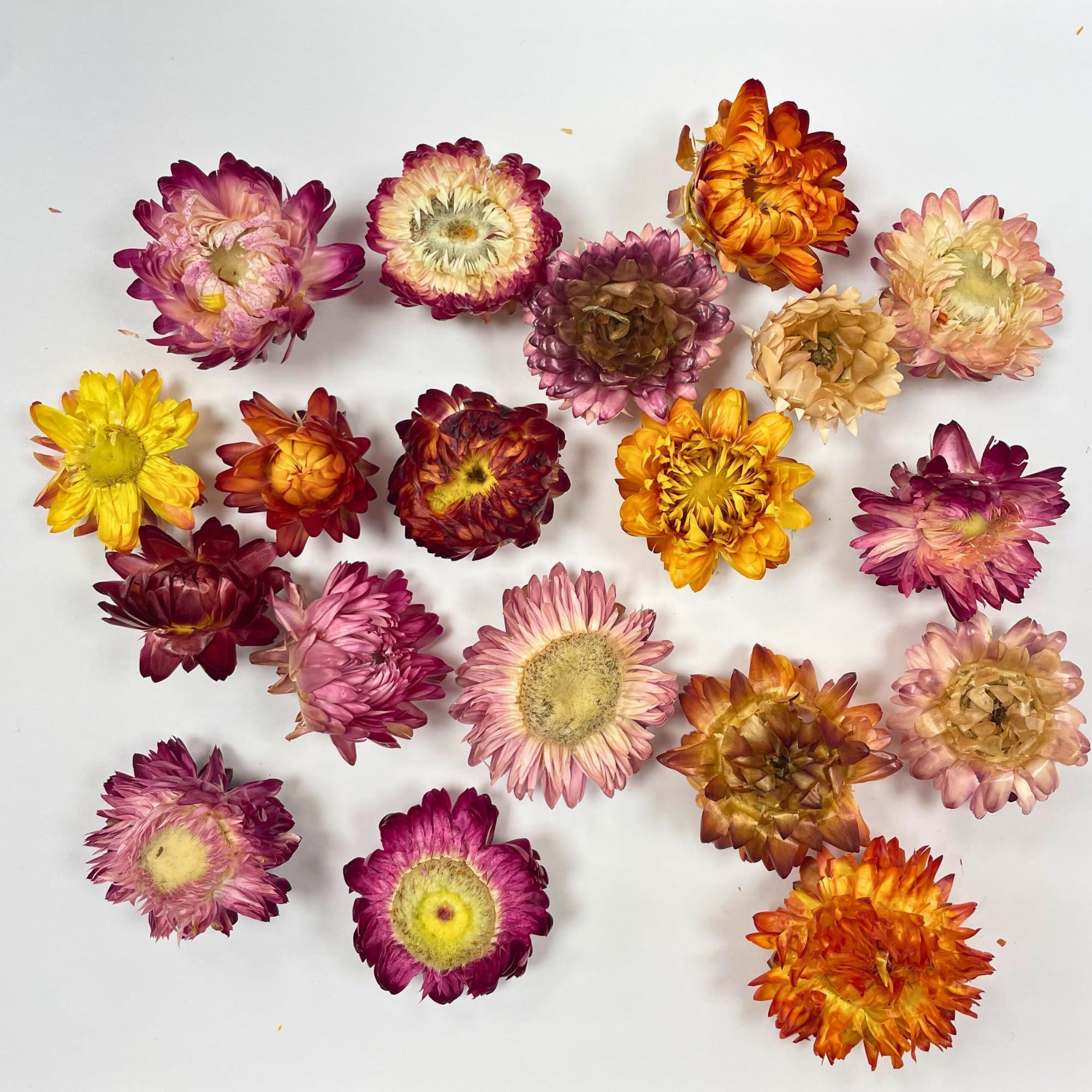 Food Grade Dried Mixed Flowers | 20+ Flowers | 100% Natural | Dried Flowers | Cocktail Toppers | for Garnishing Cocktails, Cake Decoration, Tea Infusions | 20 Grams, 0.7 oz | Drink Botanicals Ireland - Image 5