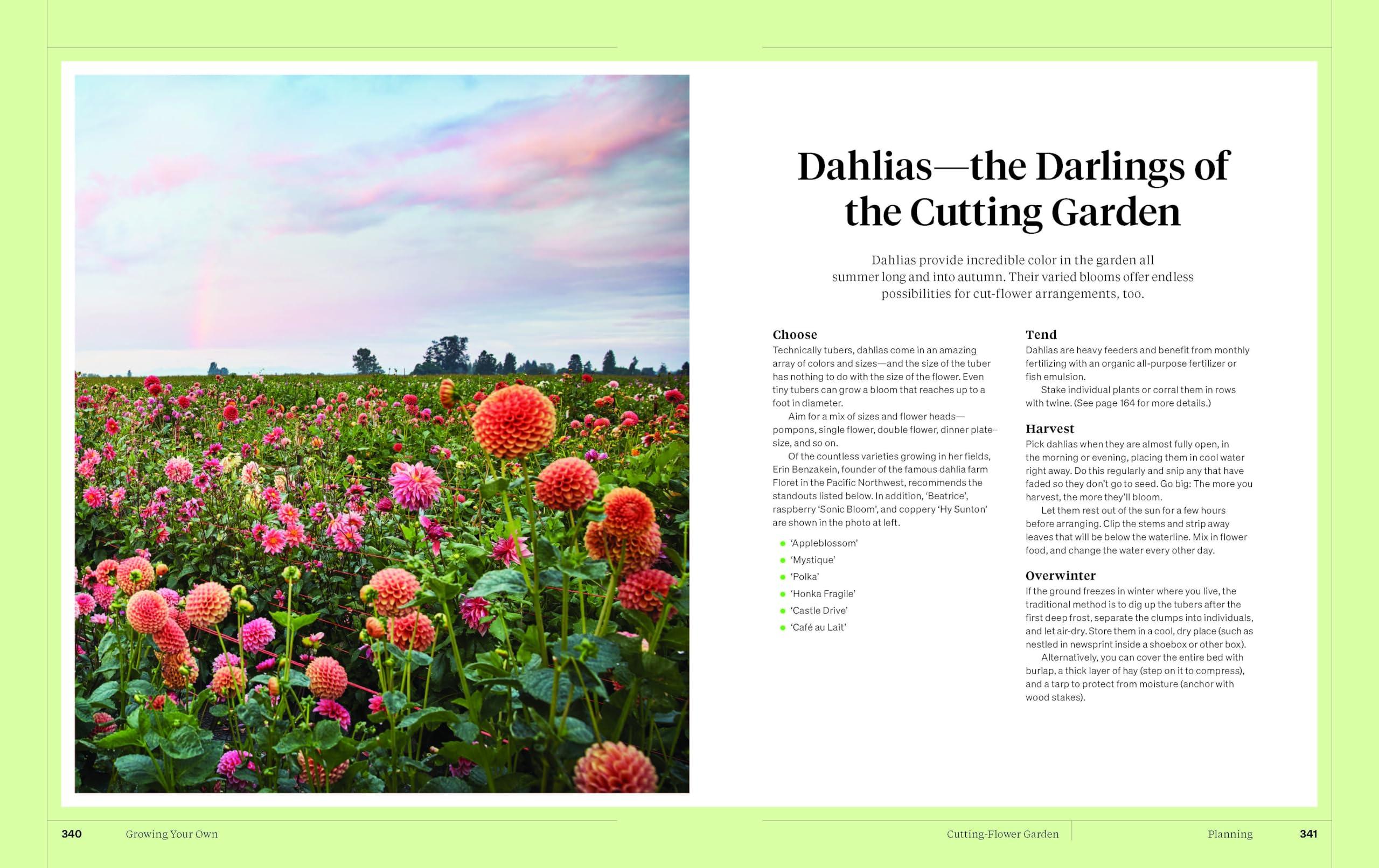 Martha Stewart's Gardening Handbook: The Essential Guide to Designing, Planting, and Growing―Martha Stewart's Handbook For Growing Beautiful Plants and Vegetables - Image 8