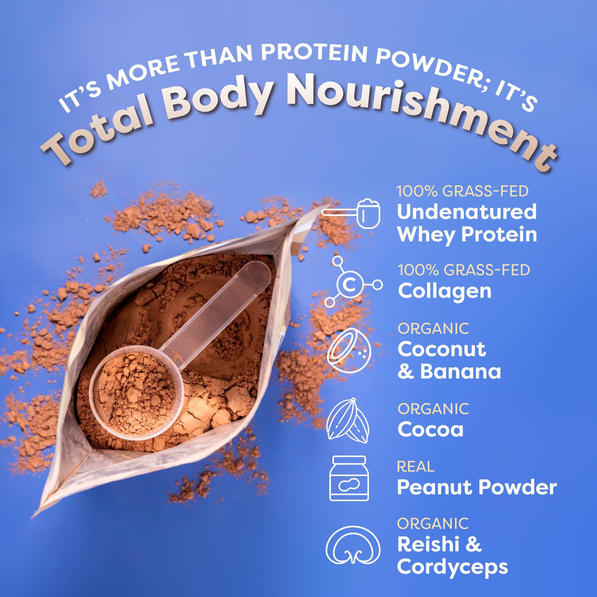 FlavCity Grass Fed Whey Chocolate Protein Powder - Chocolate Peanut Butter - 25g Protein & 10g Collagen - Made with Organic Cocoa & Coconut Milk - Gluten Free & No Added Sugars (20 Servings) - Image 4