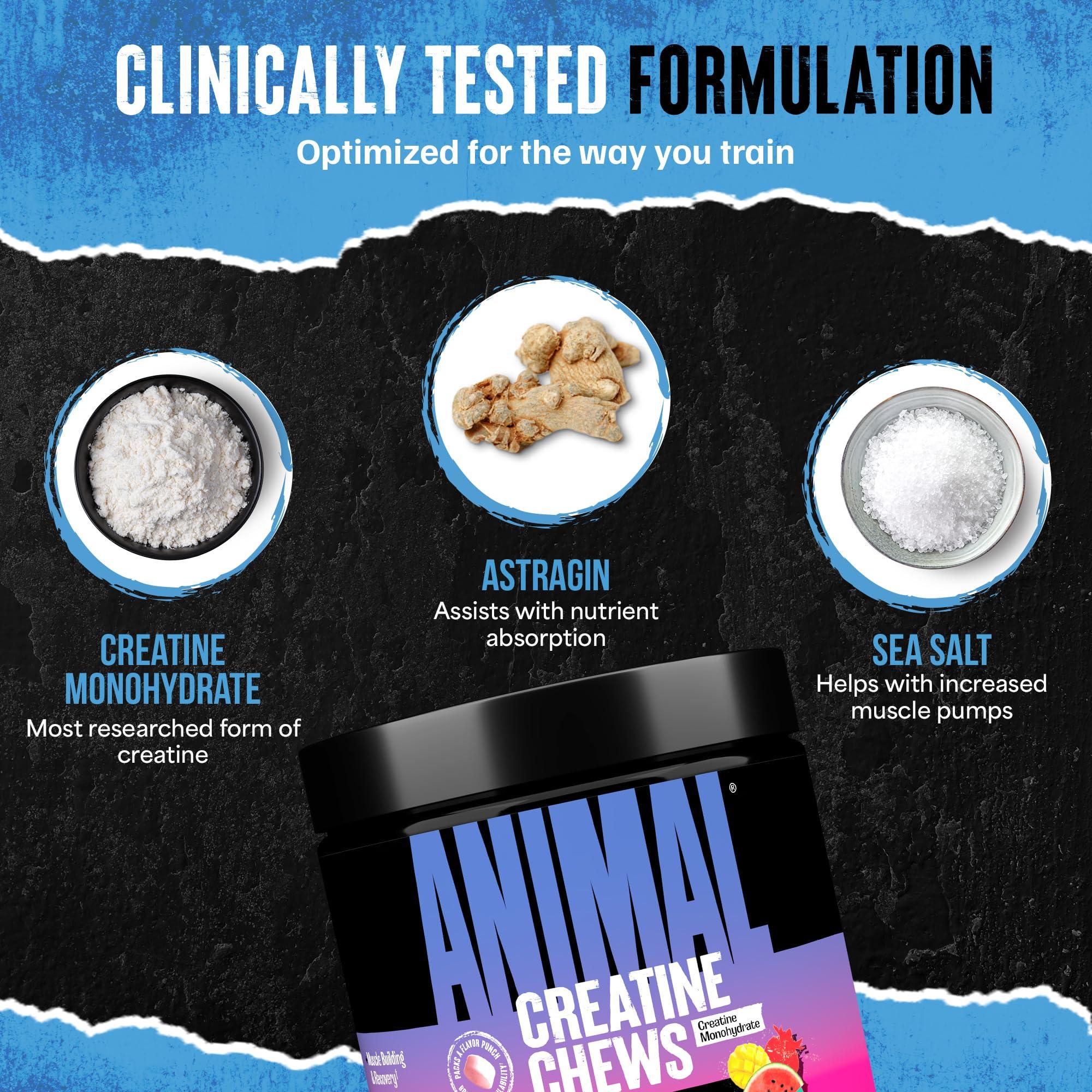 Animal Creatine Chews Tablets - Enhanced Creatine Monohydrate with AstraGin to Improve Absorption, Sea Salt for Added Pumps, Delicious and Convenient Chewable Tablets - Fruit Punch - Image 5