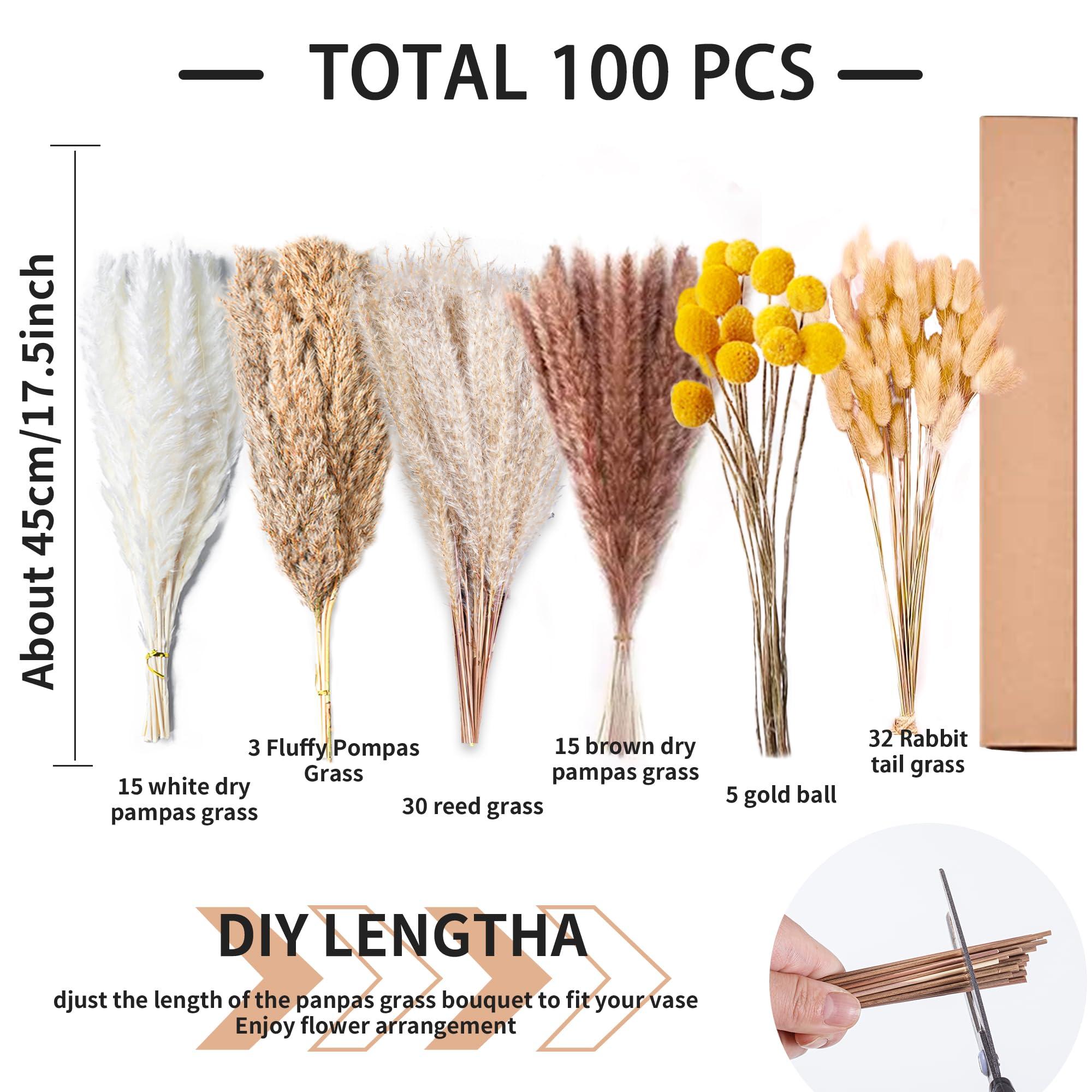 100PCS Natural Dried Pampas Grass Decor - 17.5" Fluffy Pampas Grass Bouquet - Boho Home Decor Dried Flowers for Wedding Floral Room Home Party Table Decorations - Image 3