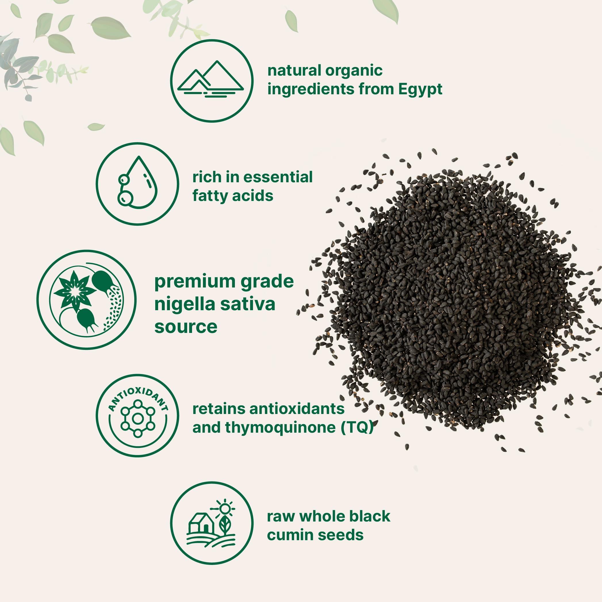 Organic Black Cumin Seed (Nigella Sativa), 2lbs | Premium Grade Whole Black Seed from Egypt | Great for Baking, Seasoning, and Cooking | Additive Free, Non-GMO, Bulk Supply - Image 3