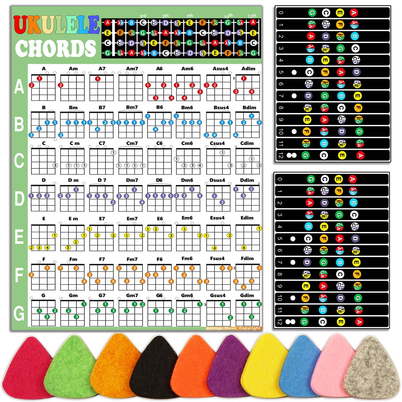 JUNLEGO Ukulele Beginner's Kit: Chord Chart, Fretboard Stickers, Picks - Black and White Vinyl, Ukulele Accessory
