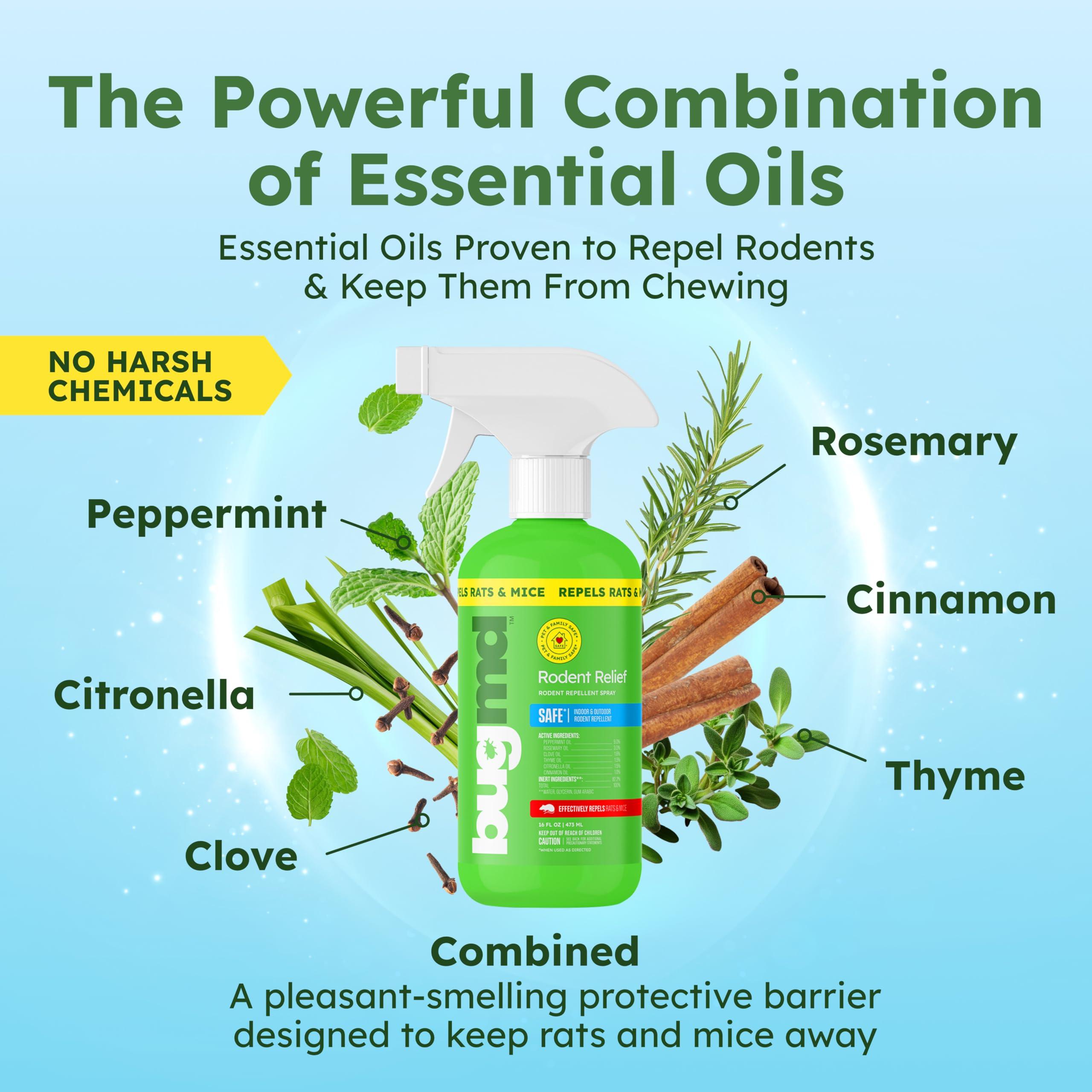 BugMD Peppermint Oil Spray for Rodents - 16oz Mouse Repellent & Rodent Repellent Spray, Natural Mice Repellent with Cinnamon, Clove, and Rosemary Oils - Safe Indoor & Outdoor Use - Image 2