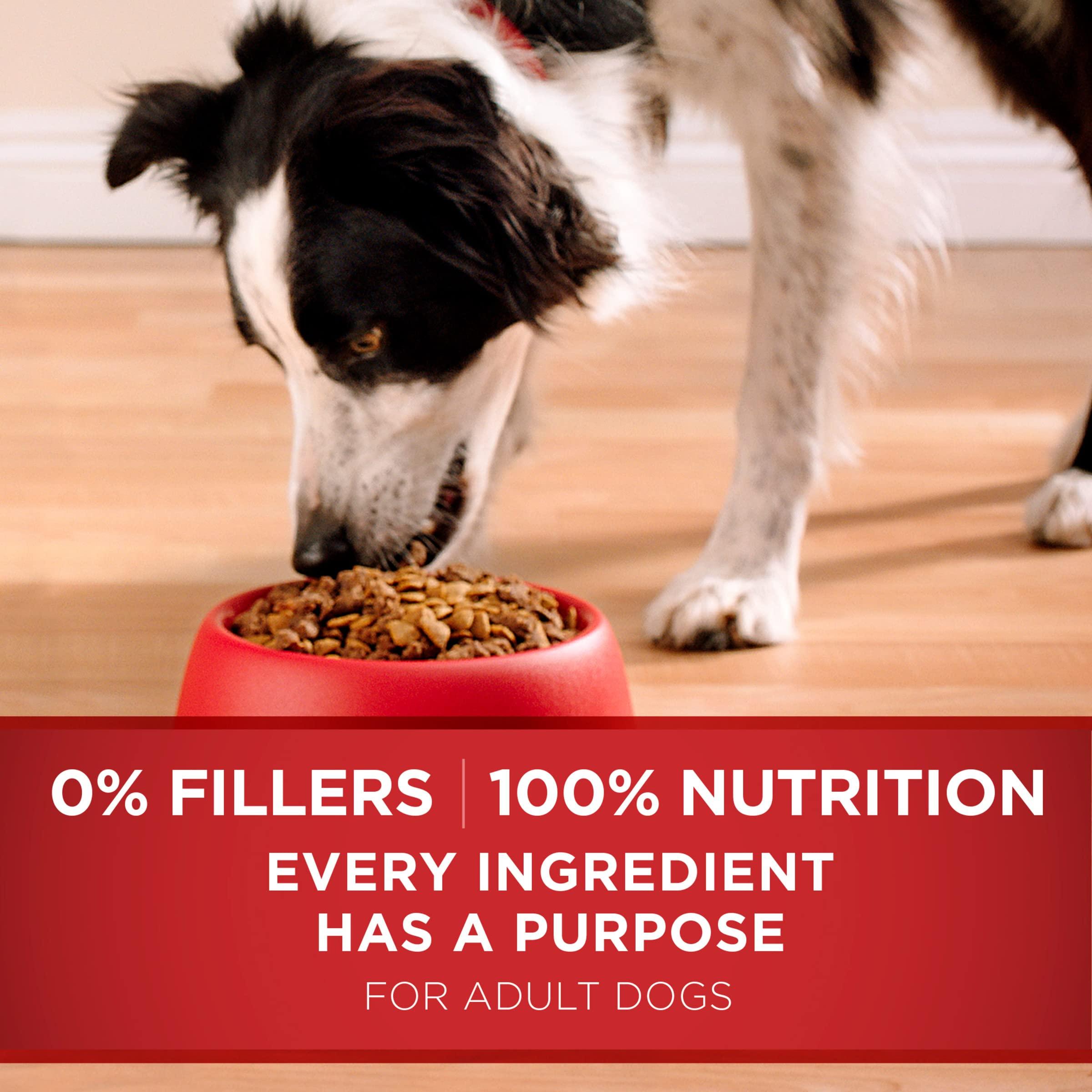 Purina ONE Dry Dog Food Lamb and Rice Formula - 16.5 lb. Bag - Image 7