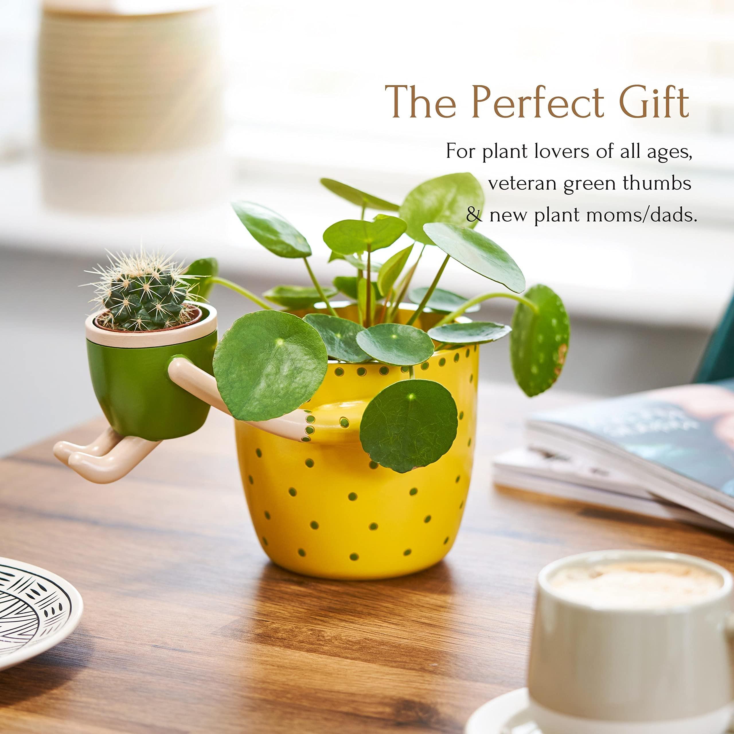 VIRTUNE Adorable Plant Pots. 5" Flower Pot & 2" Small Succulent Pot with Drainage. Small Plant Pots, Cute Pots for Plants, Succulent Planter (Light Yellow) - Image 6