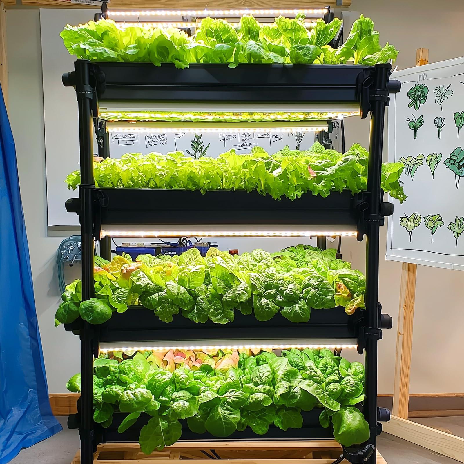 20,000+ Lettuce Seeds, Heirloom Vegetable Seed for Planting Indoor Outdoor, 10 Varieties Fresh Lettuce Salad Seeds Garden Hydroponics Kit - Romaine, Iceberg, Boston, Bibb and More, Non-GMO - Image 9