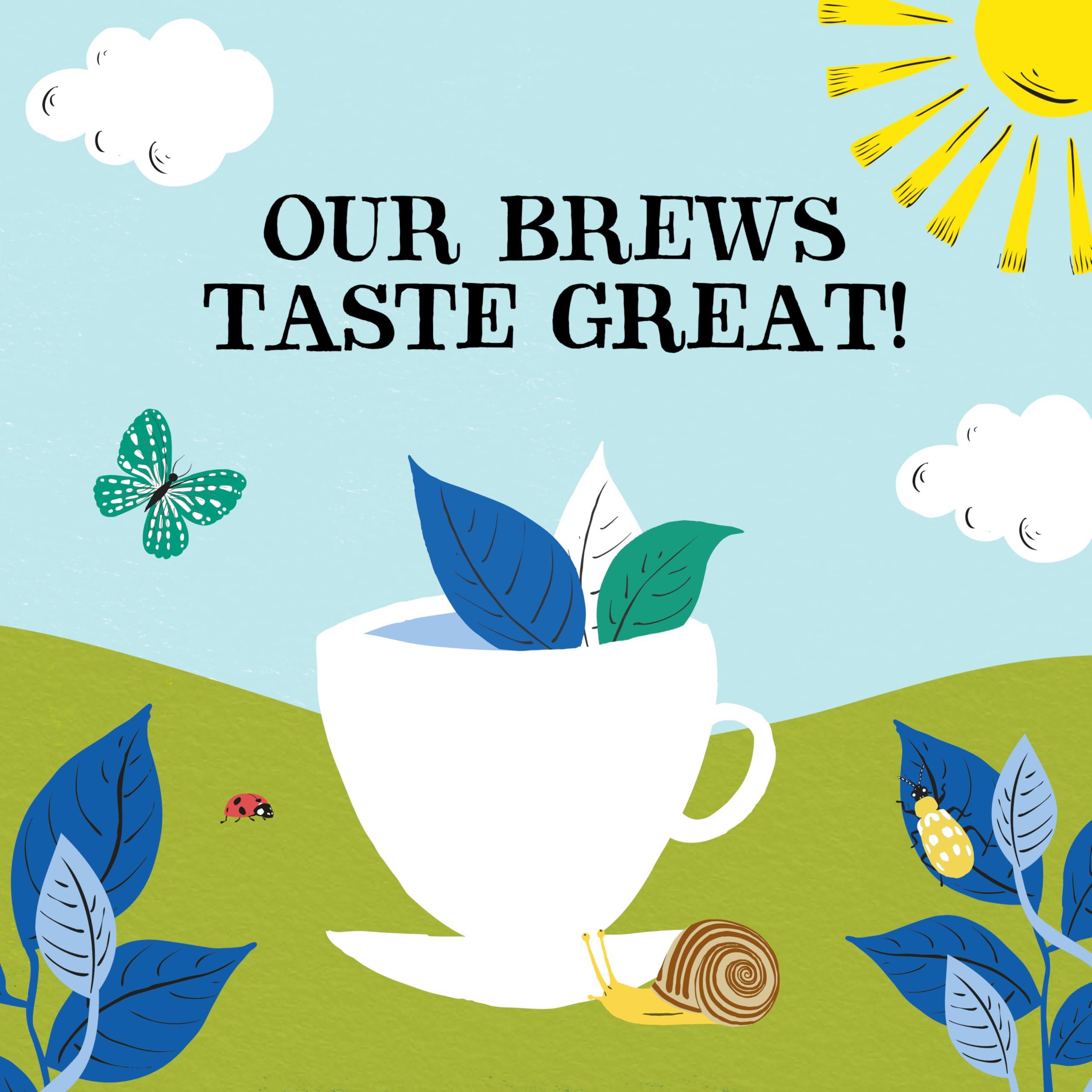 Clipper Tea Tea Fairtrade Organic Decaf 80 Unbleached, Plastic-Free Bags, 8.2 oz, 1 Pack, 80 Unbleached Tea Bags - Image 5