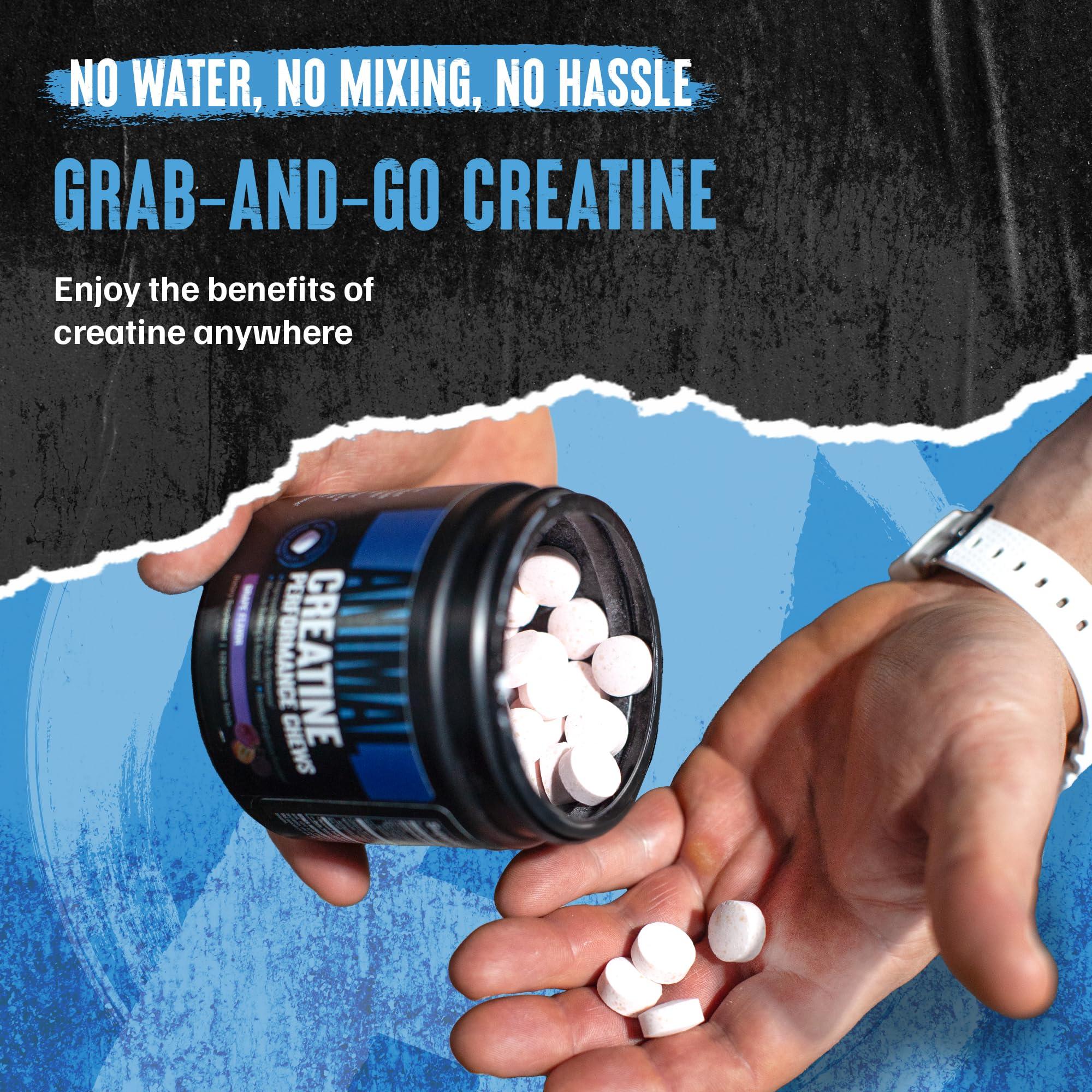 Animal Creatine Chews Tablets - Enhanced Creatine Monohydrate with AstraGin to Improve Absorption, Sea Salt for Added Pumps, Delicious and Convenient Chewable Tablets - Fruit Punch - Image 6