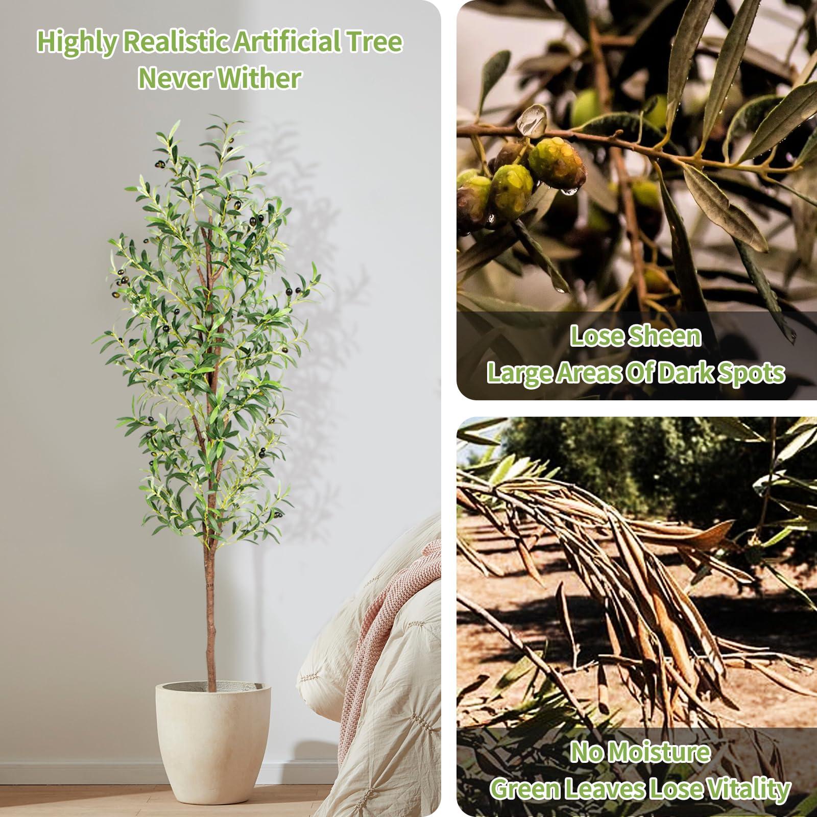 CETRD Artificial Olive Tree, 6FT Tall Faux Olive Trees 72in Outdoor Fake Potted Silk Plant with Trunk and Realistic 648 Leaves and 24 Fruits for Modern Office Home Decor Indoor（1pack） - Image 3