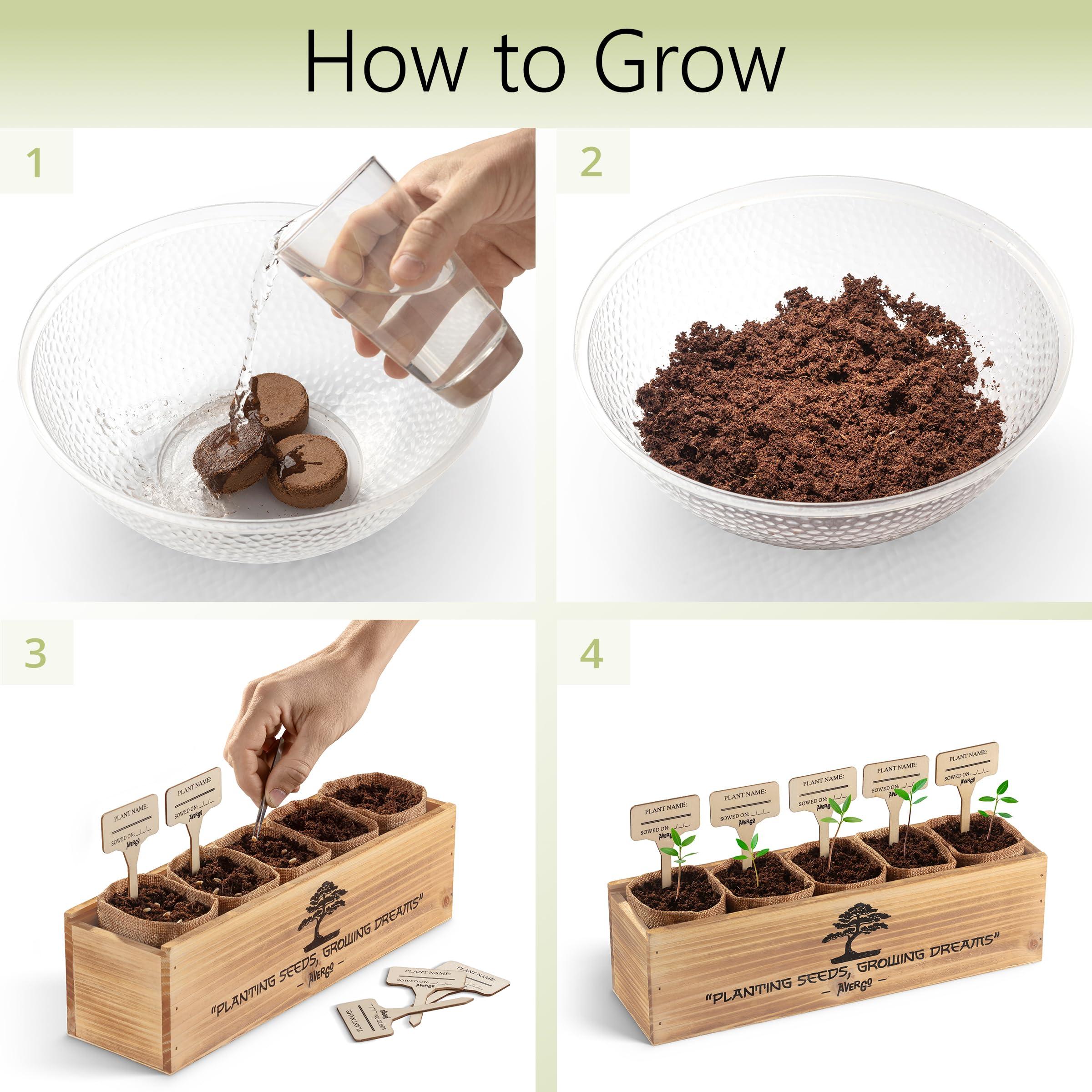 Avergo Bonsai Tree Kit – 5X Unique Japanese Bonzai Trees | Complete Indoor Starter Kit for Growing Bonsai Plants with Tools & Planters – Gardening Gifts for Women & Men - Image 3