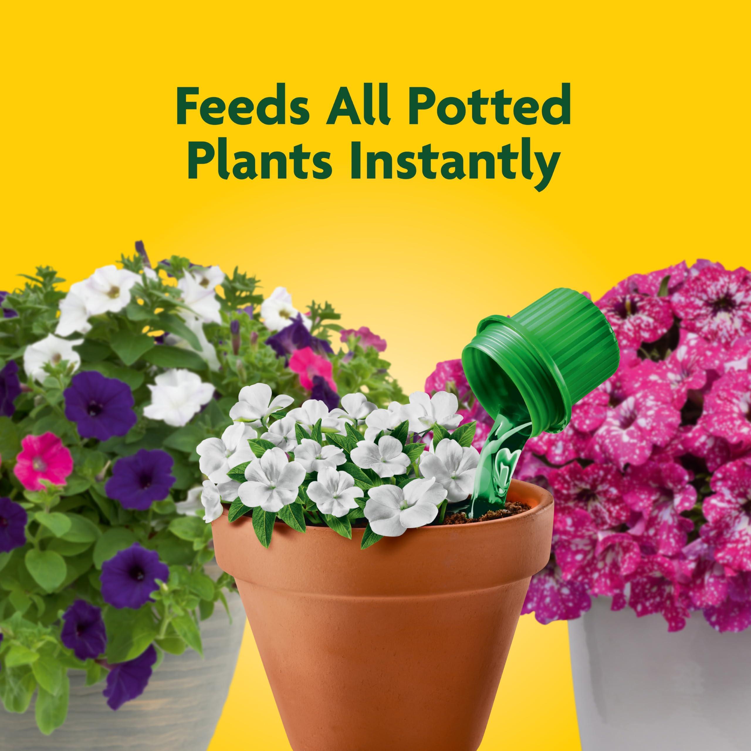 Miracle-Gro Pour & Feed Plant Food, Fertilizer Instantly Feeds Live Plants, For Outdoor & Indoor Plants in Containers, 32 oz. - Image 2
