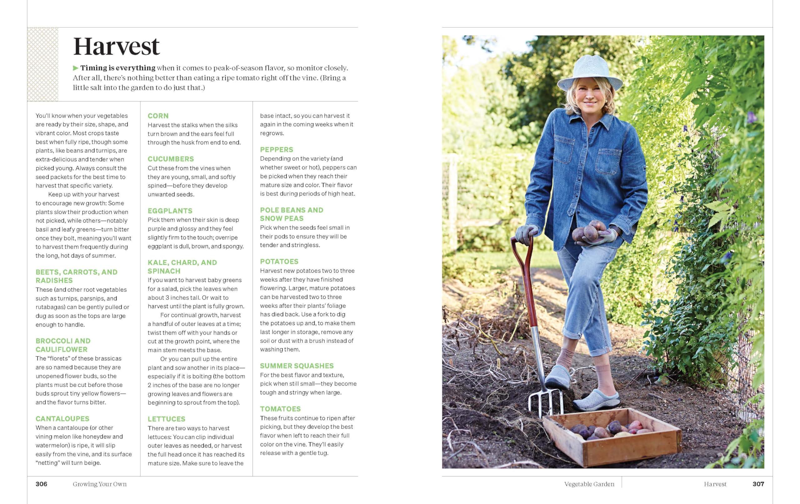 Martha Stewart's Gardening Handbook: The Essential Guide to Designing, Planting, and Growing―Martha Stewart's Handbook For Growing Beautiful Plants and Vegetables - Image 7