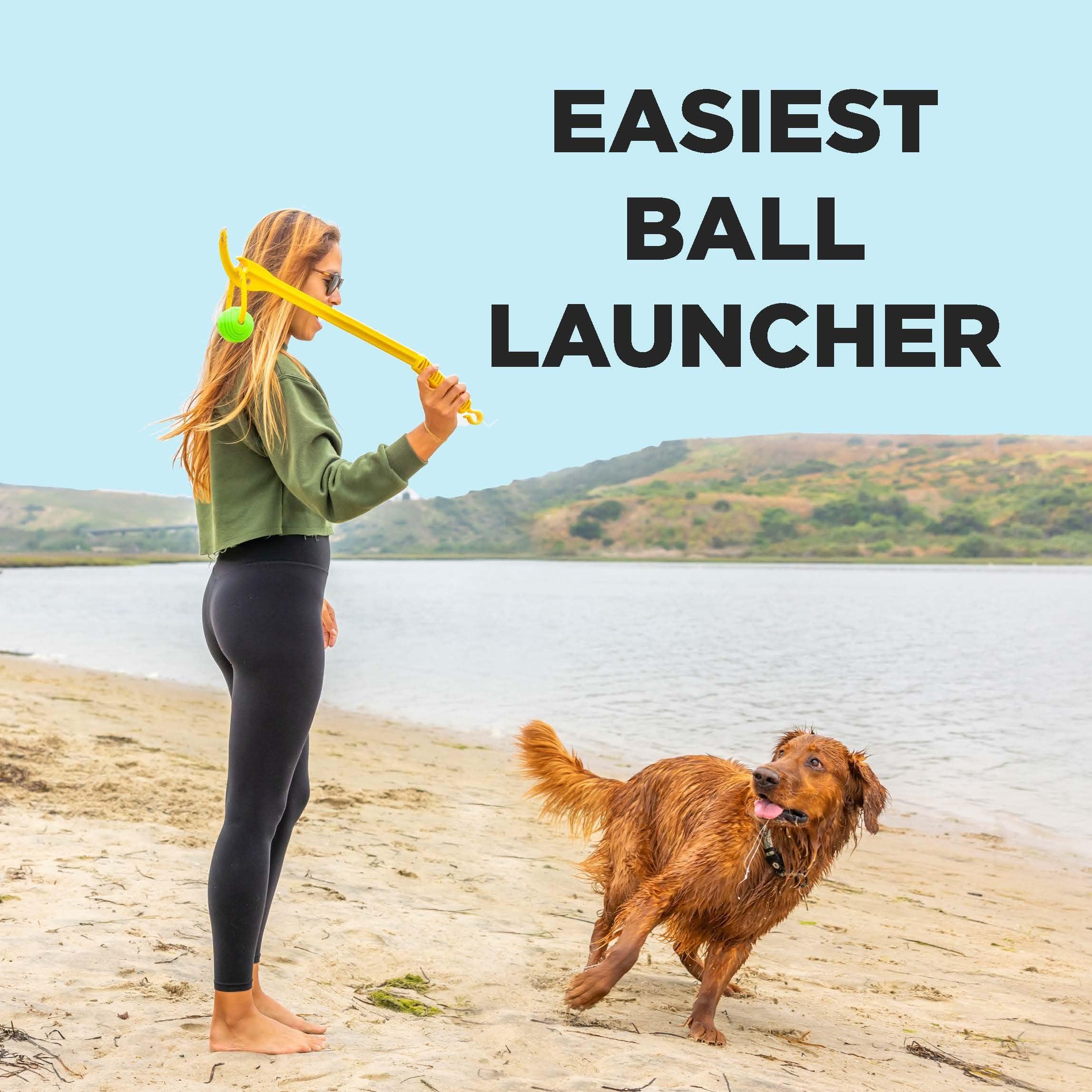 Project Hive Zoomer Stick | Dog Ball Thrower with Set of 2 Looped Dog Balls Included (Green and Blue) | Interactive Dog Toys for Both Land and Water | Balls for Dogs Perfect for Fetch and Tug Play - Image 5