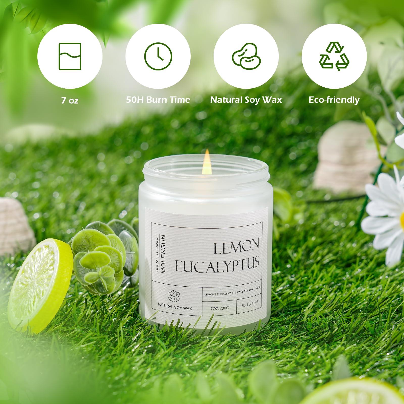 Molensun Lemon Eucalyptus Scented Candles, Mother's Day Gifts, Aromatherapy Jar Candle, 7 oz Long Lasting Candles, Soy Wax Candle Gift for Women - Image 3