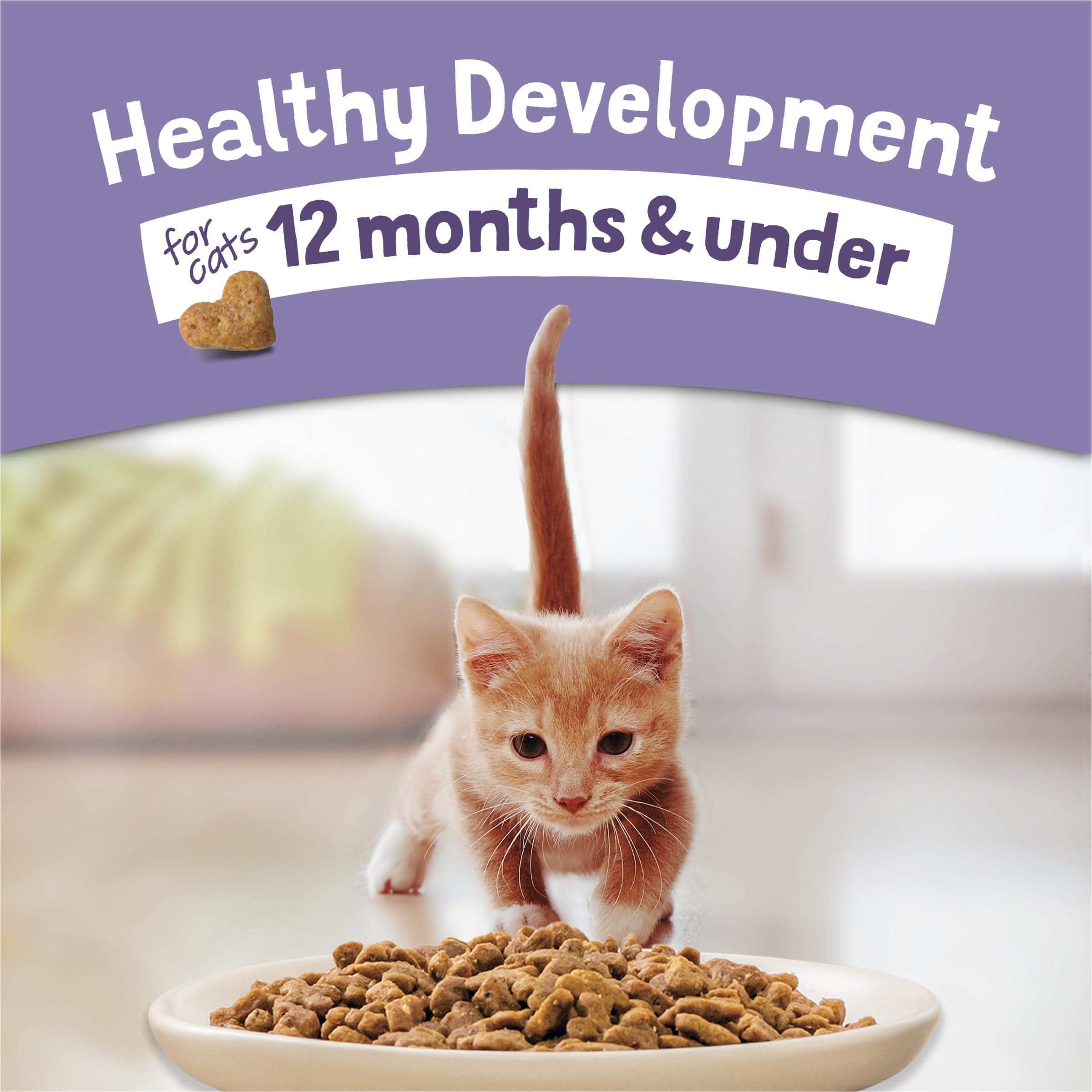 Purina Kitten Chow 14lb - Image 2