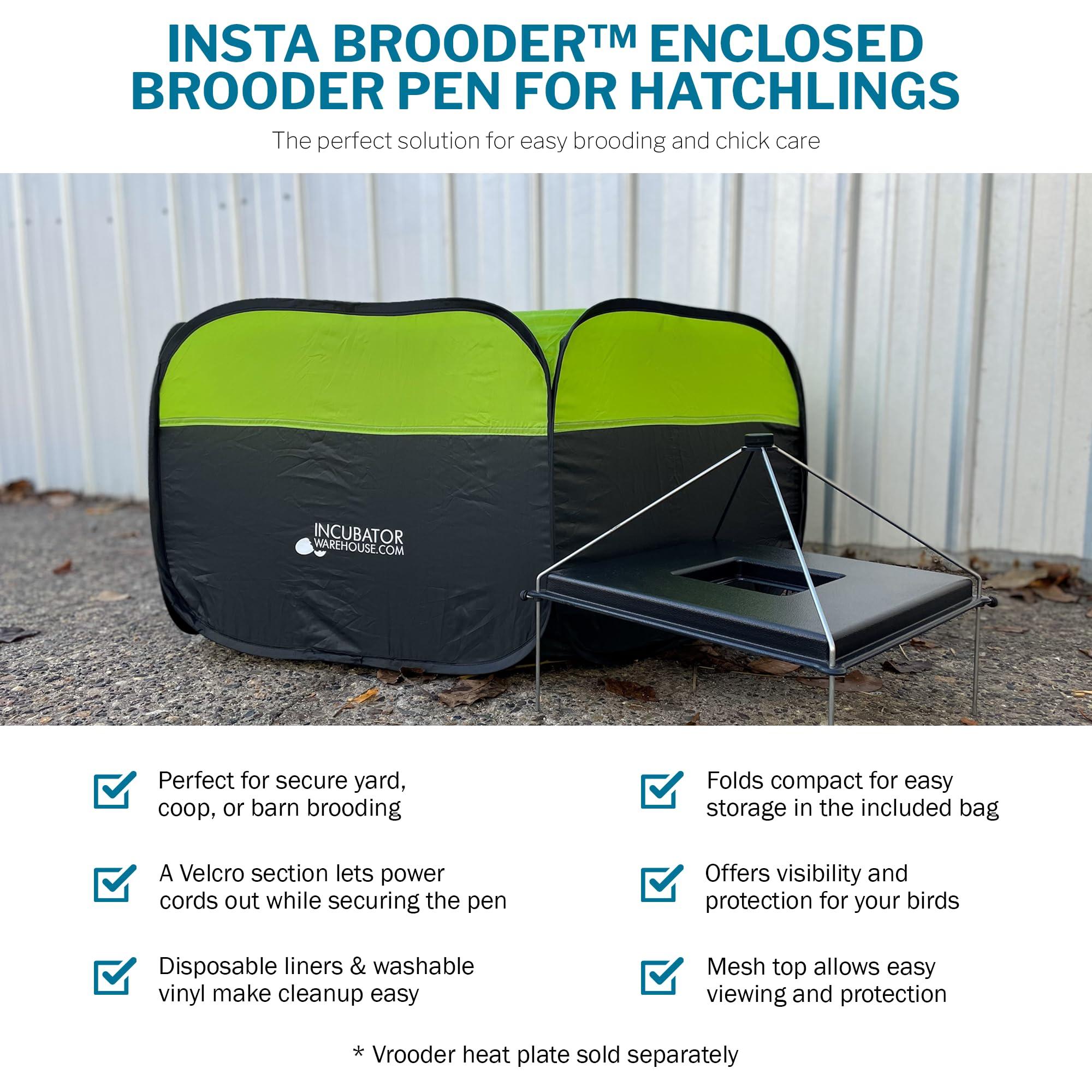 Incubator Warehouse Insta Brooder™ Enclosed Brooder Pen for Hatchlings - Image 4