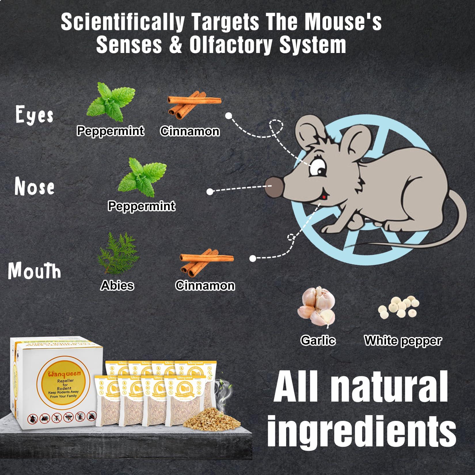 8 Pack Rodent Mouse Repellent Pouches Peppermint Oil to Repel Mice and Rats, Mouse Repeller Pest Control Pouches Mice Repellent for House Mouse Deterrent Indoor - Image 2