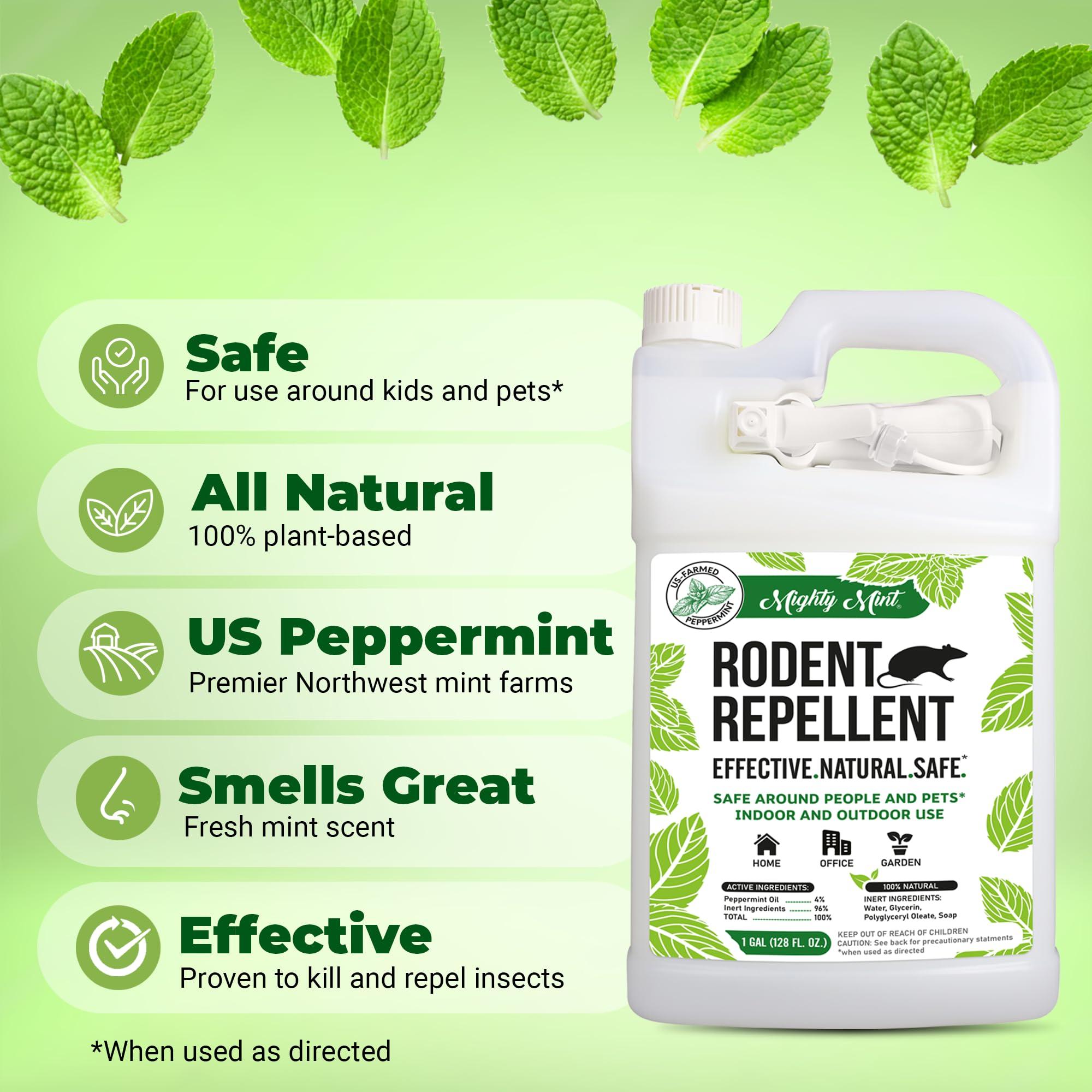 Mighty Mint Peppermint Oil Rodent Repellent Spray with Microfiber Cloth – Natural Indoor & Outdoor Control for Mice and Rats – Plant-Based, Extra-Strong Formula - 1 Gallon (128 oz) - Image 2