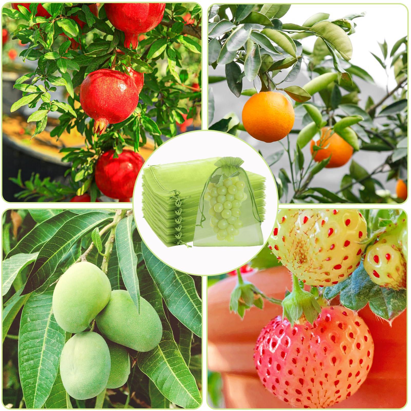 Uigidori 100 Pcs Fruit Protection Bags, 6.5 x 9 Inch Green Netting Cover Bags with Drawstring, Pest Barrier for Trees, Garden Fruit Cover Mesh Bag for Plant Vegetables and Flowers - Image 7