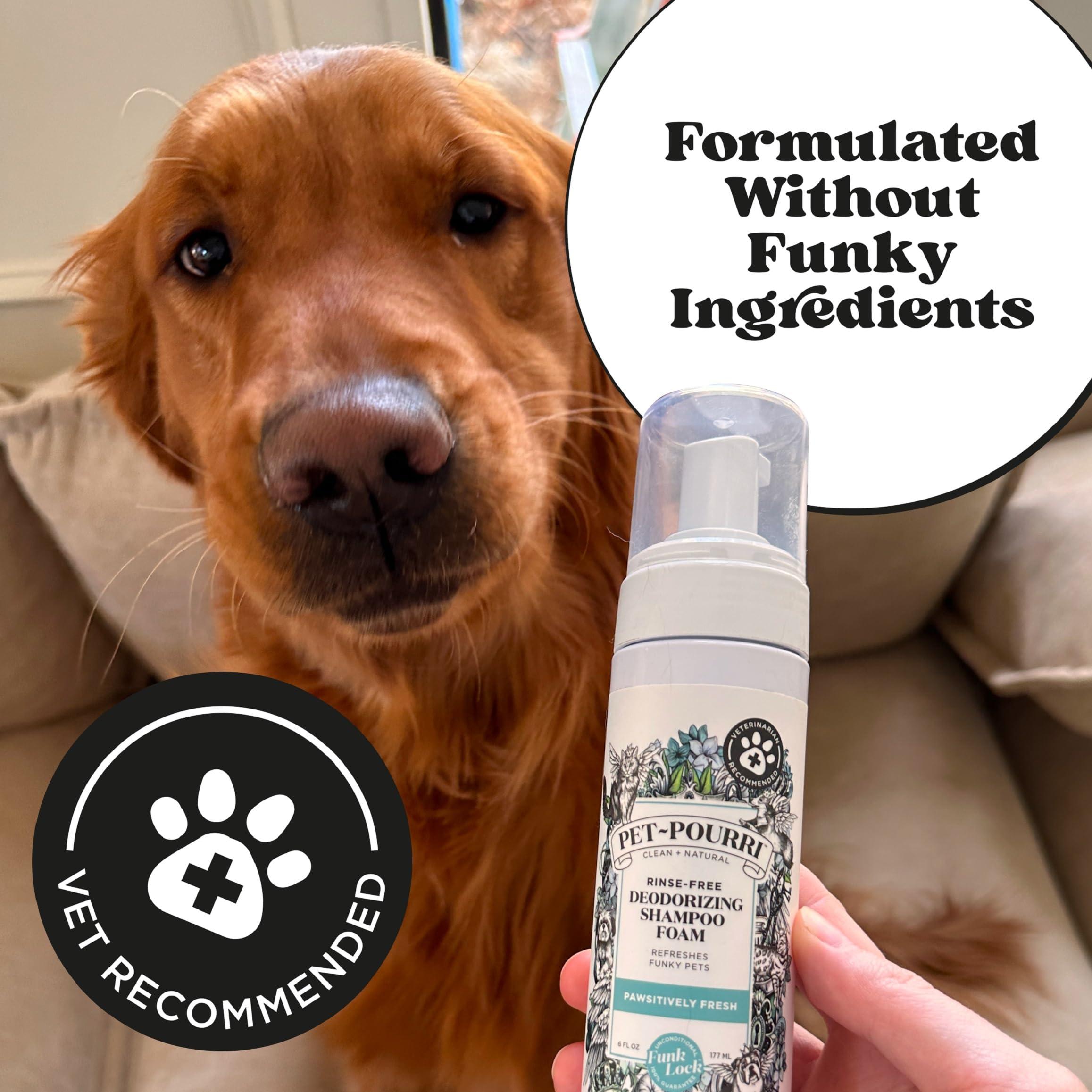 Poo-Pourri Rinse-Free Deodorizing Dry Shampoo for Dogs & Cats – Moisturizing Skin & Coat Soothing Formula - Plant Based Ingredients – Pineapple, Jasmine & Pear – No Rinse Foam Shampoo for Pet Odor - Image 4