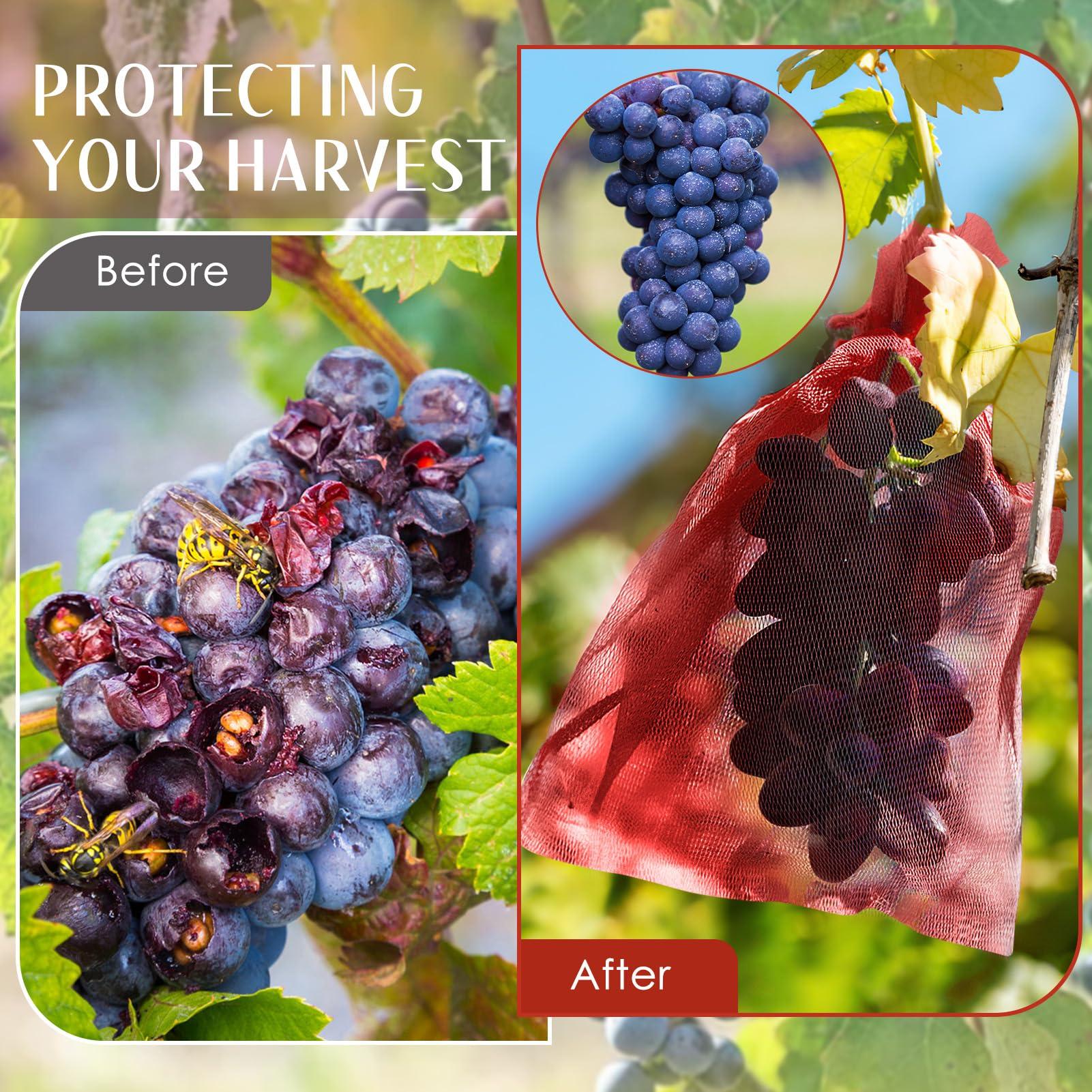 Fruit Protection Bags, 100PCS 6.7x9in Wine Red Fruit Bags for Fruit Trees, Fruit Netting Cover Bags Barrier, Fine Mesh Drawstring Bag Protectors for Fruits & Vegetables Garden Apple - Image 5
