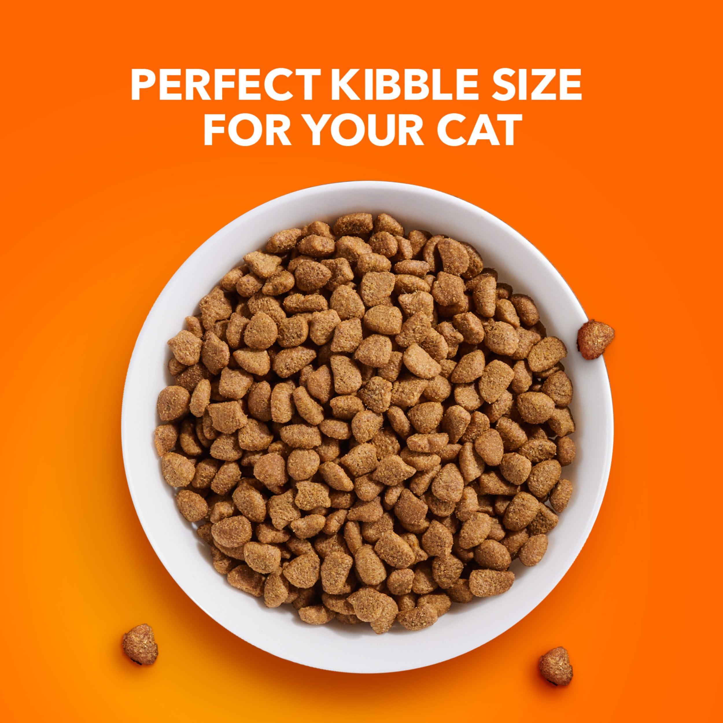 IAMS Proactive Health Adult Sensitive Digestion & Skin Dry Cat Food with Turkey, 13 lb. Bag - Image 11