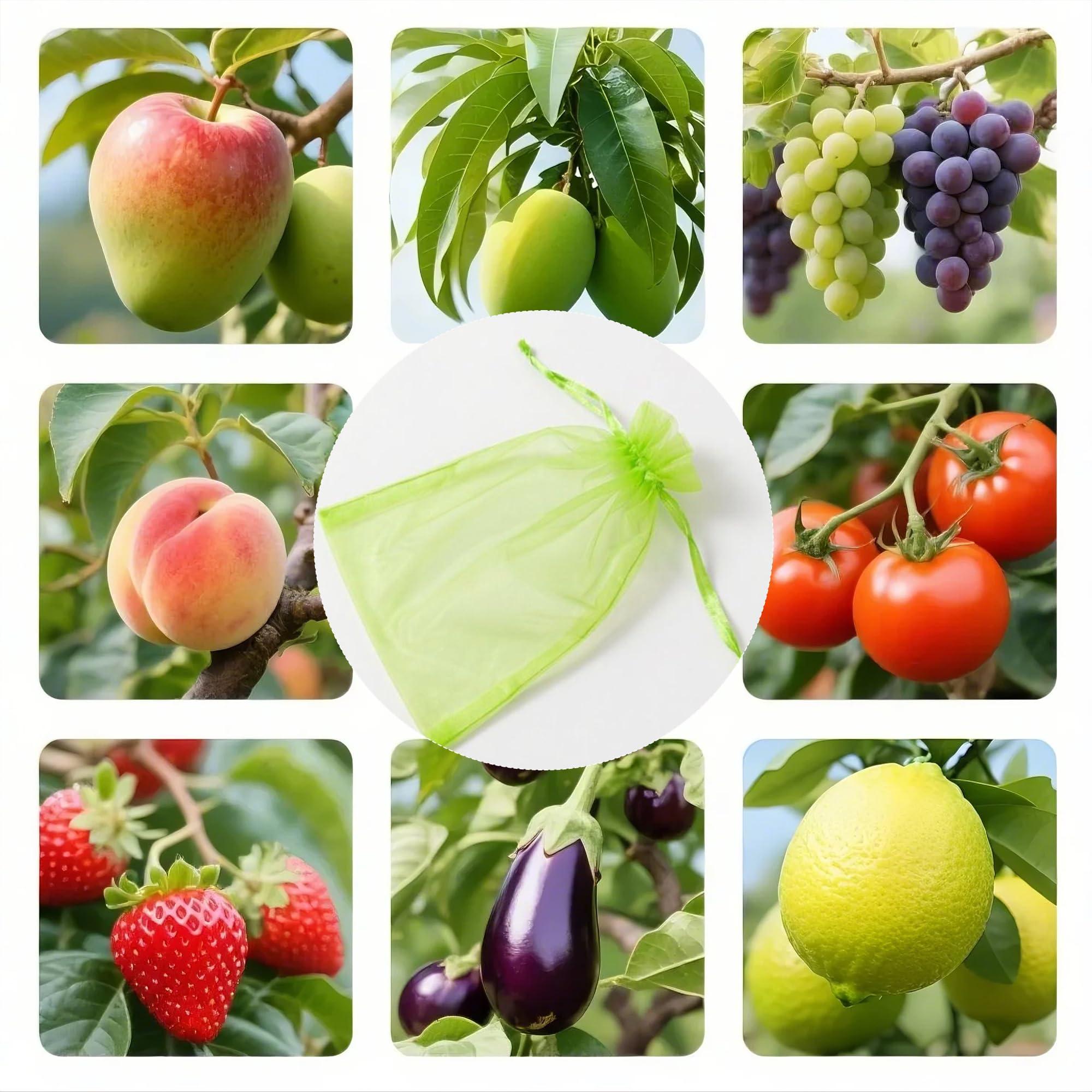 DMIMIA Fruit Protection Bags 100 pcs, Reusable Mesh Bags for Fruit Trees 3-Size, Breathable Covers to Protect Fruits from Pests & BirdsGreen - Image 6