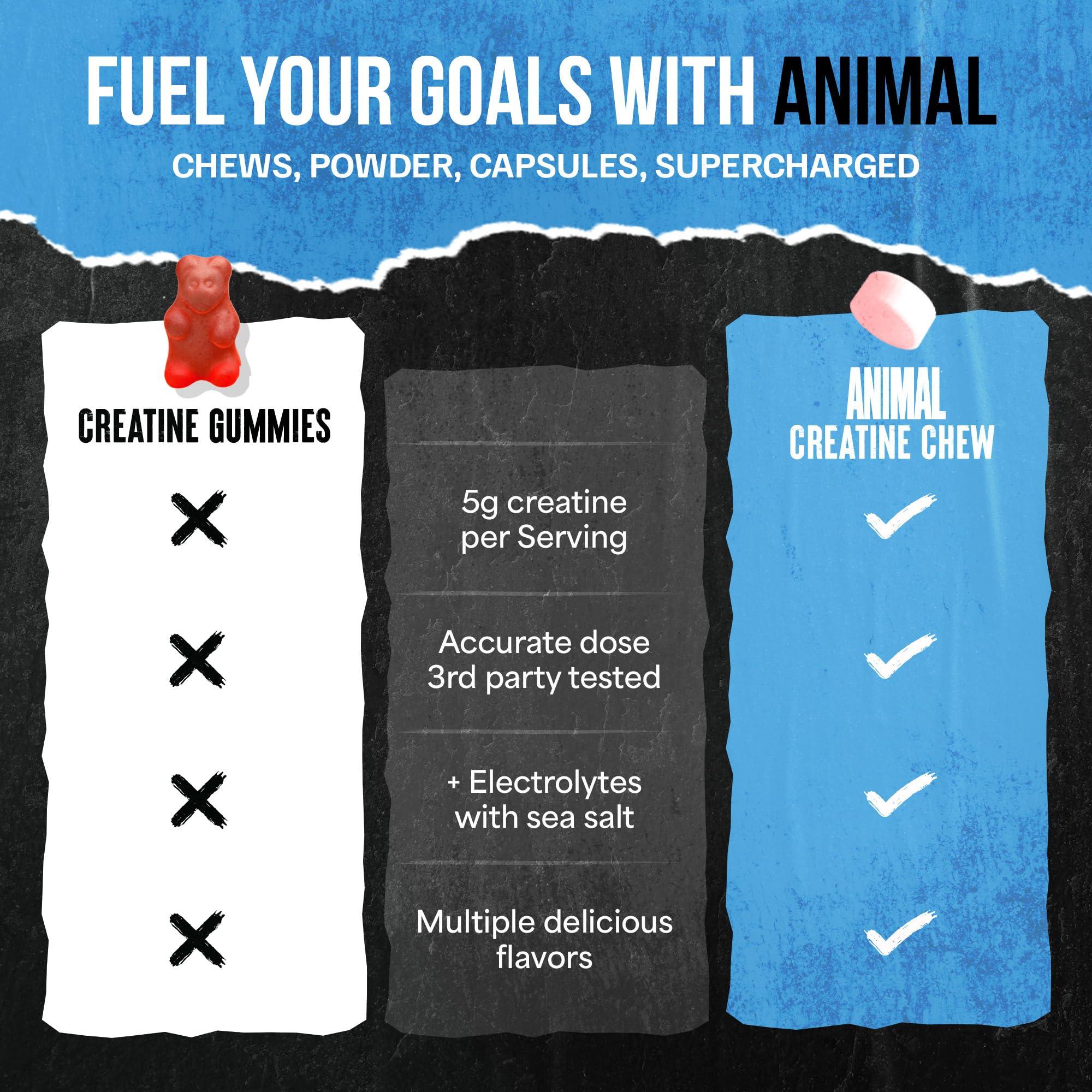 Animal Creatine Chews Tablets - Enhanced Creatine Monohydrate with AstraGin to Improve Absorption, Sea Salt for Added Pumps, Delicious and Convenient Chewable Tablets - Fruit Punch - Image 4