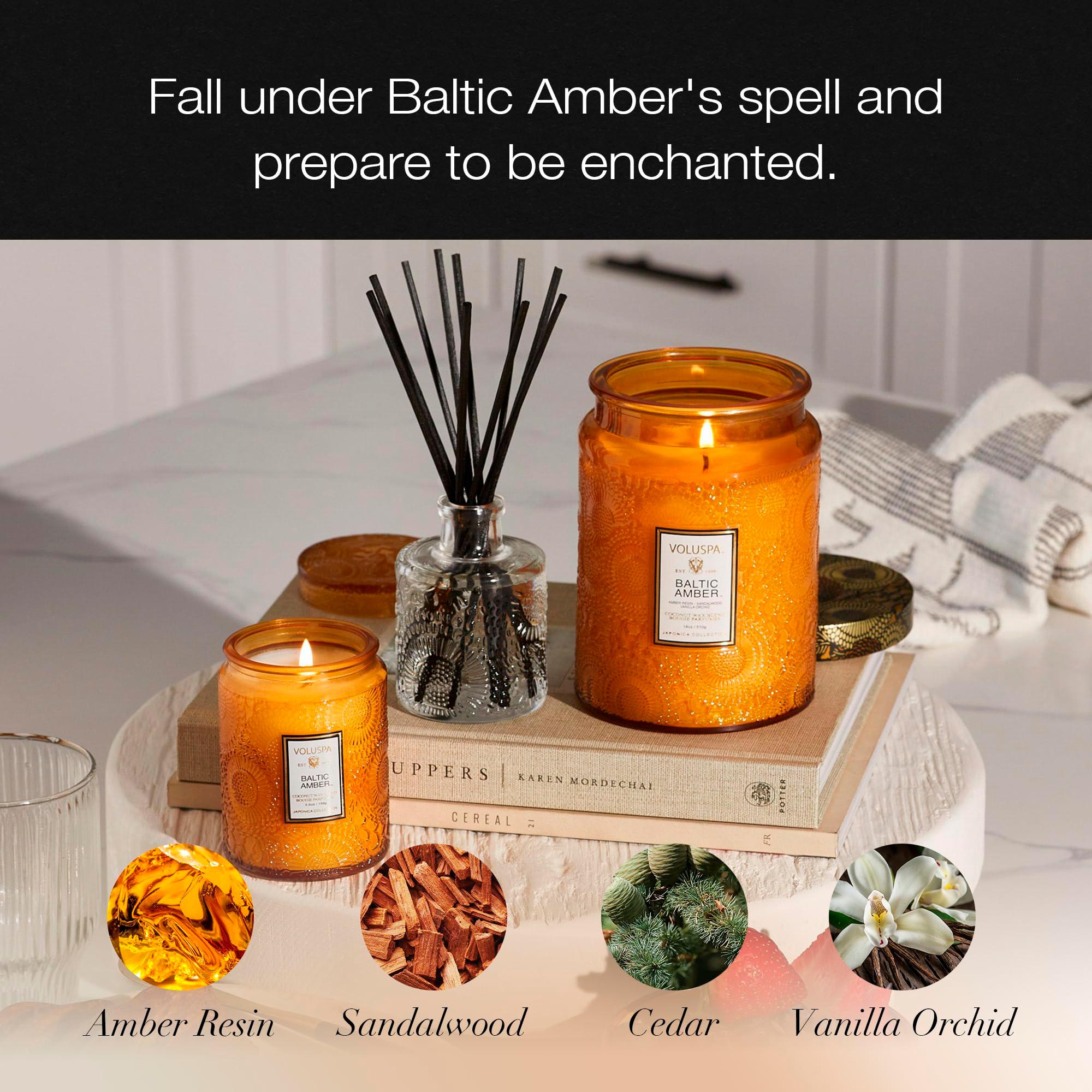 Voluspa Baltic Amber, Large Candle Jar, 18 oz, 100 Hour Burn Time, Coconut Wax for Clean Burning, Handcrafted in the USA - Image 2