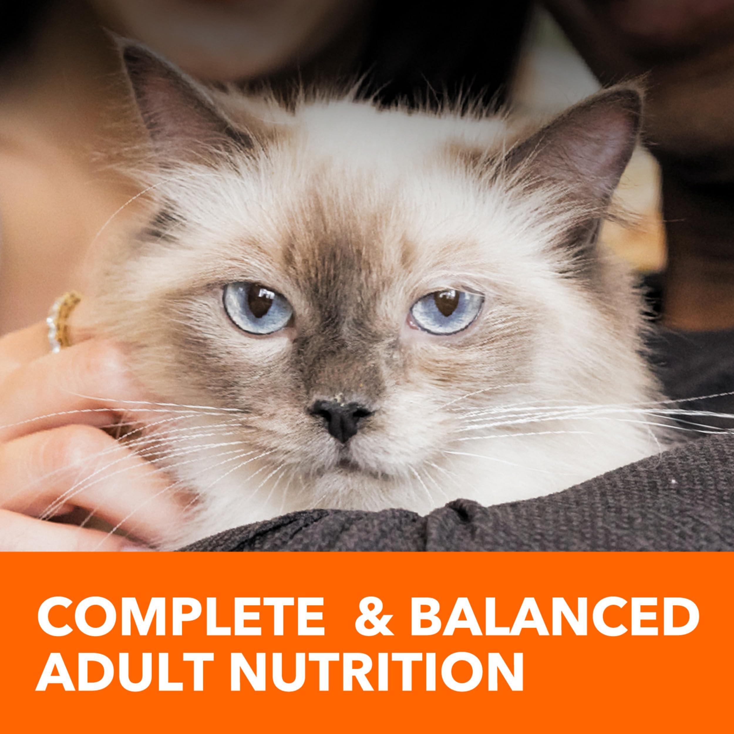 IAMS Proactive Health Adult Sensitive Digestion & Skin Dry Cat Food with Turkey, 13 lb. Bag - Image 10