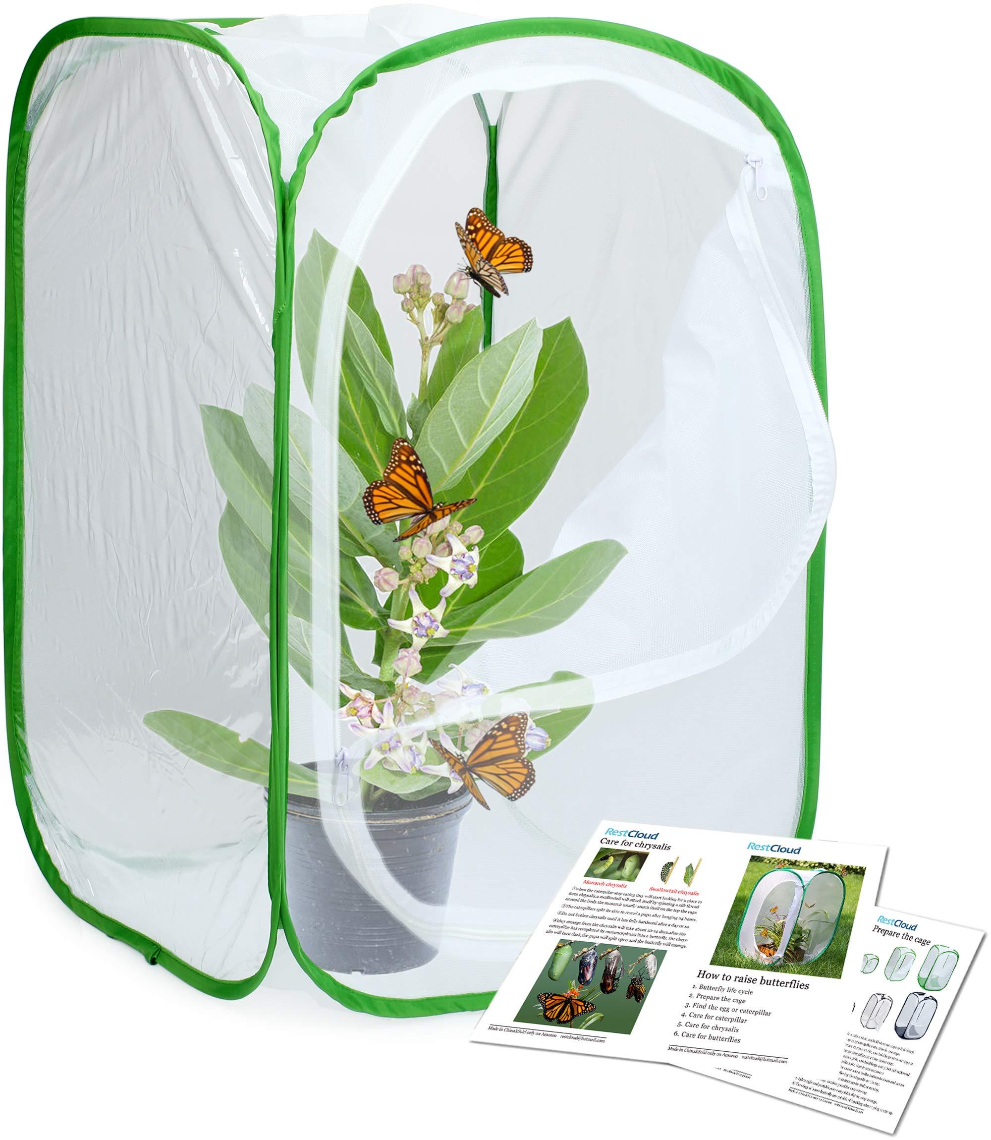 3-Pack Insect and Butterfly Habitat Cage Terrarium Pop-up Butterfly Enclosure (3 x 15.7 x 15.7 x 23.6") - Image 5