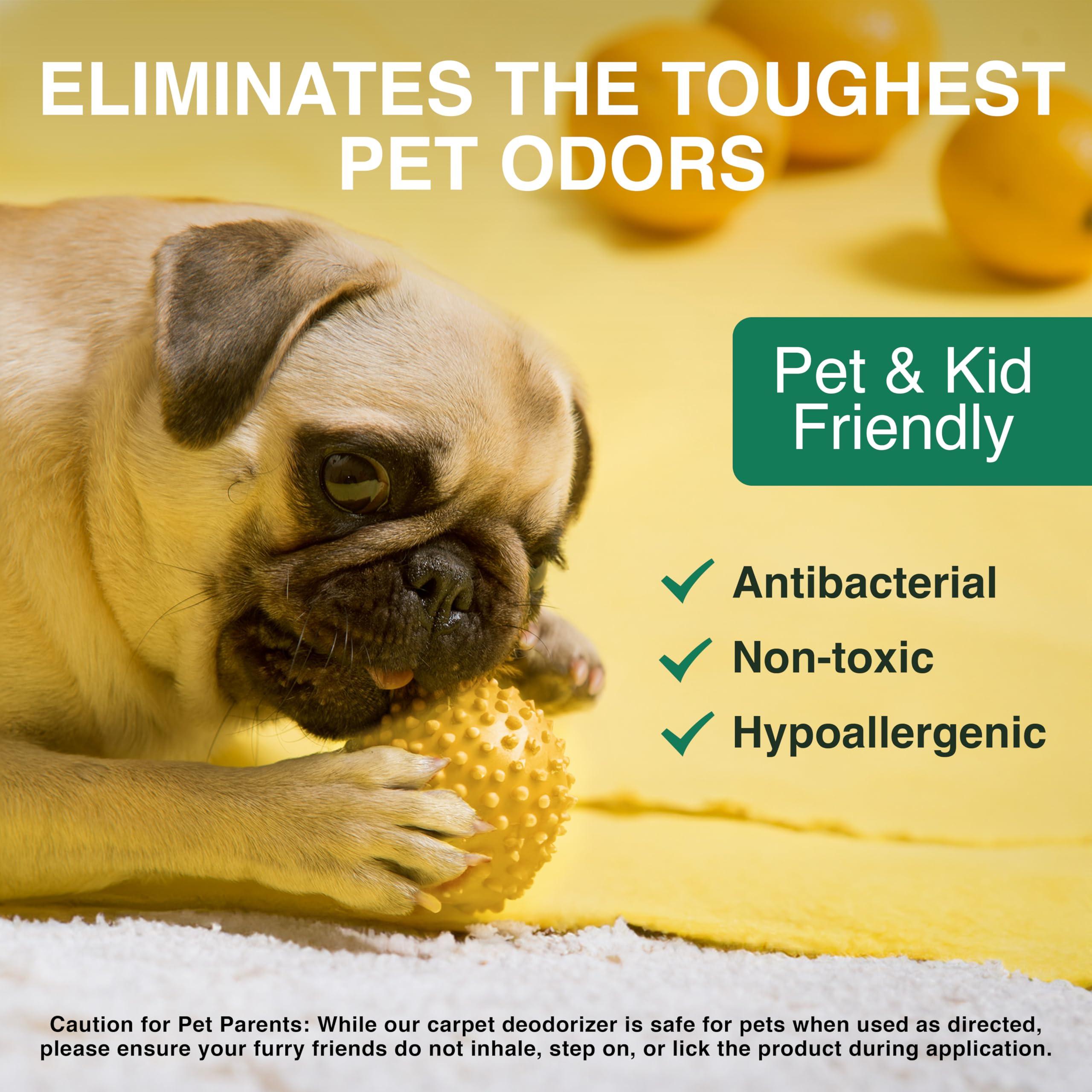 Good Natured Brand | Carpet Deodorizer & Freshener Powder | 31 oz Pet Odor Eliminator for Strong Odor & Pet Urine | Fresh Natural Lemon & Eucalyptus Scent | Safe for Homes with Pets - Image 3