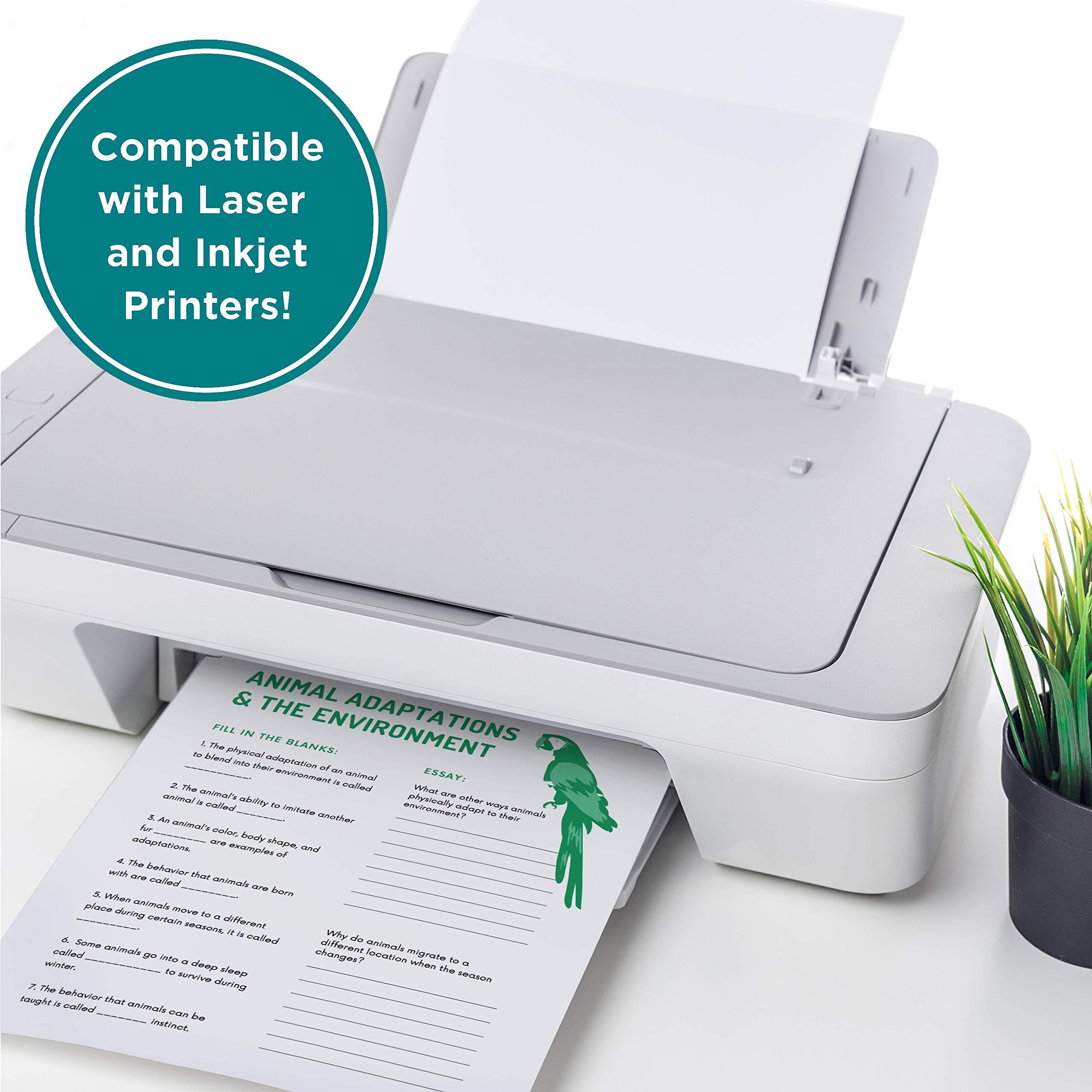 Elementree Sustainable Printer Paper Case 8.5" x 11" – Made from Sawmill Waste – 20 lb Copy & Multipurpose Computer Paper – 2500 Sheets – Made in the USA - Printer & Copier Compatible (00918C) - Image 7